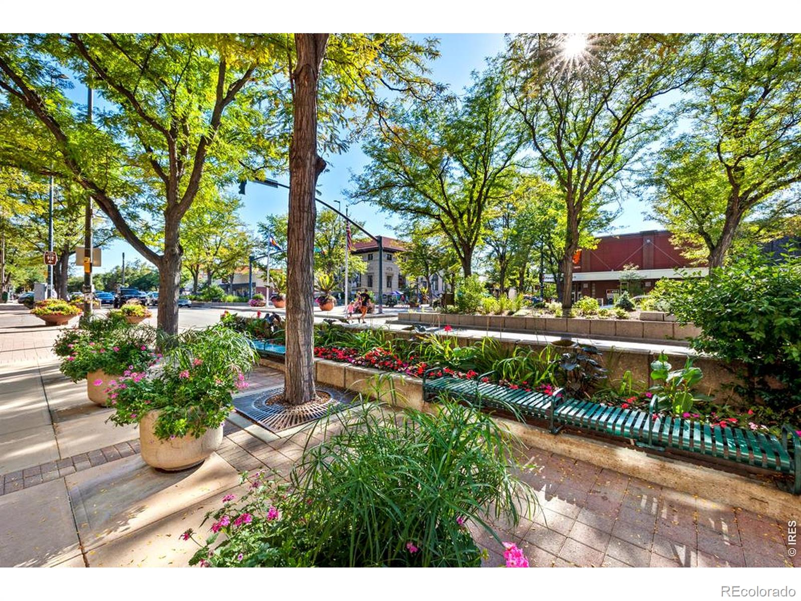 MLS Image #40 for 422  hillsboro court,fort collins, Colorado