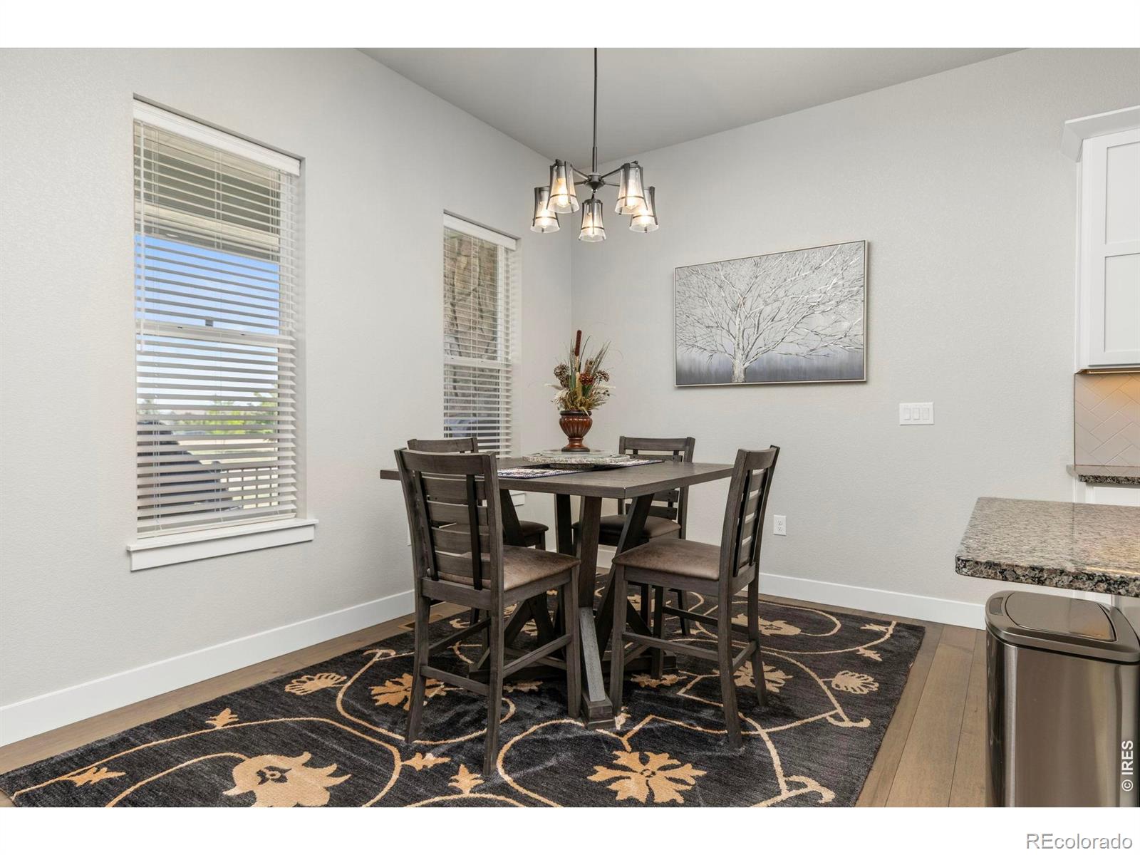 MLS Image #10 for 6241  vernazza way,windsor, Colorado