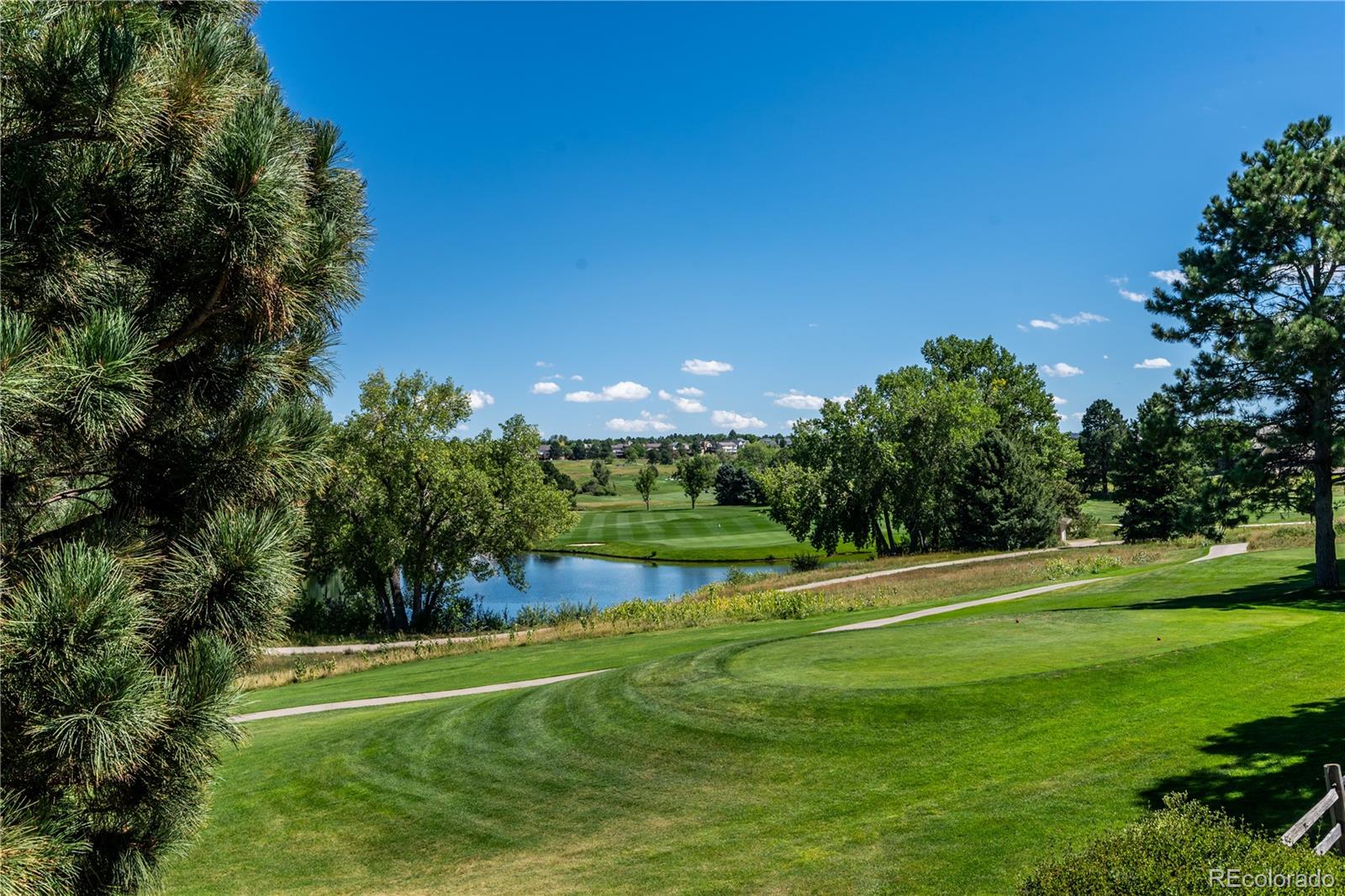MLS Image #15 for 8218 s albion street,centennial, Colorado