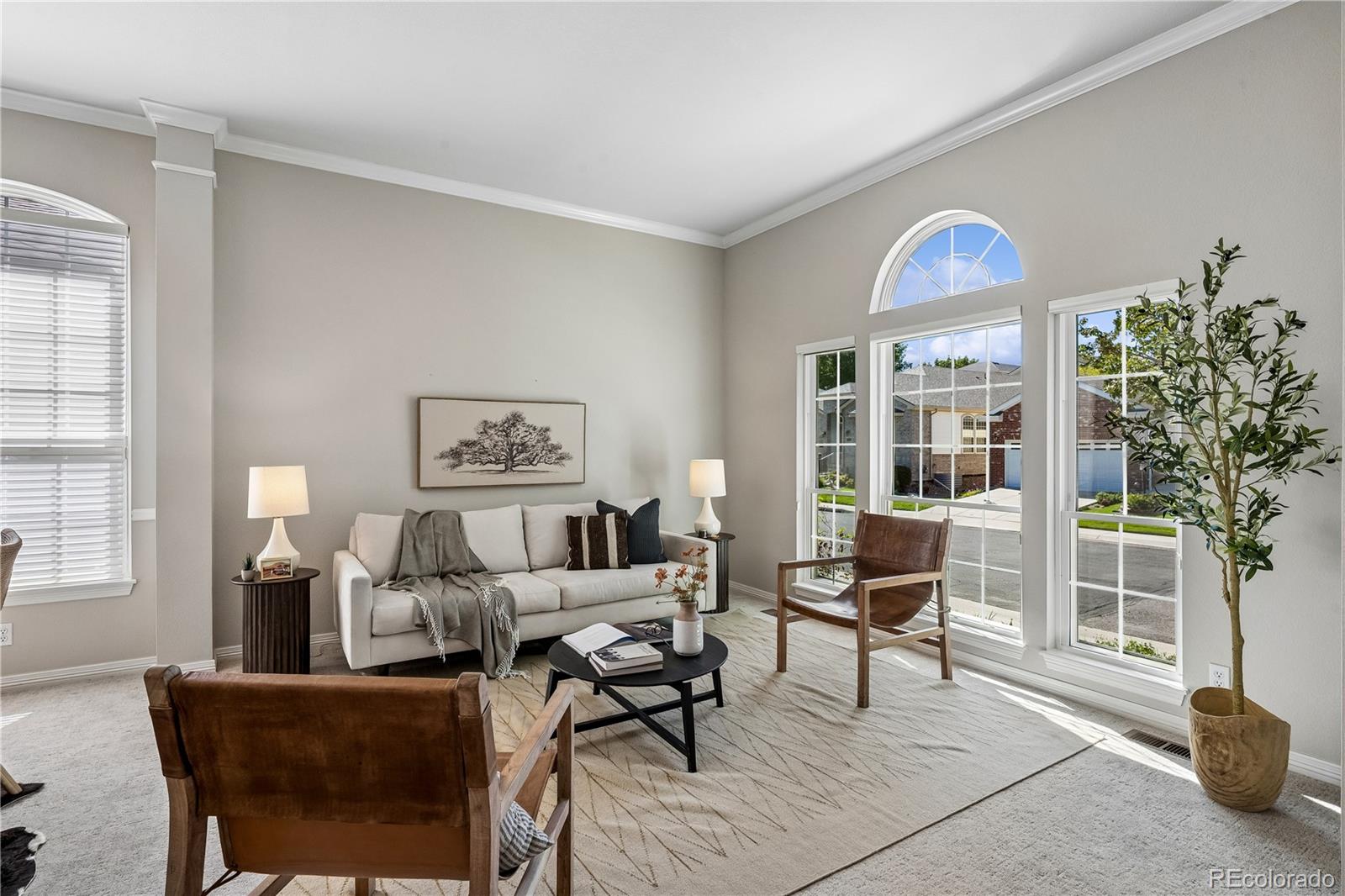 MLS Image #3 for 8218 s albion street,centennial, Colorado