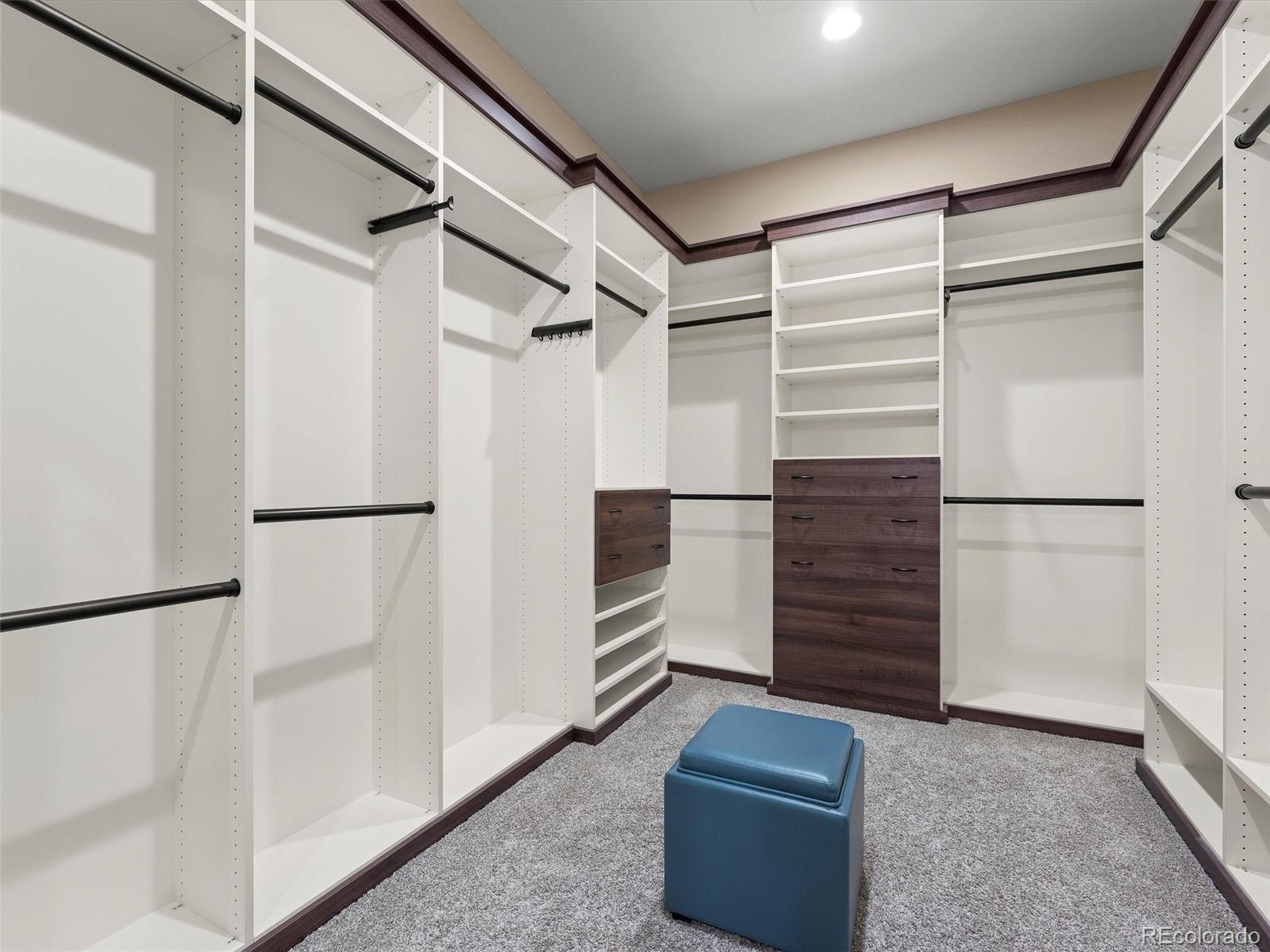 MLS Image #15 for 13035  reata ridge ,parker, Colorado