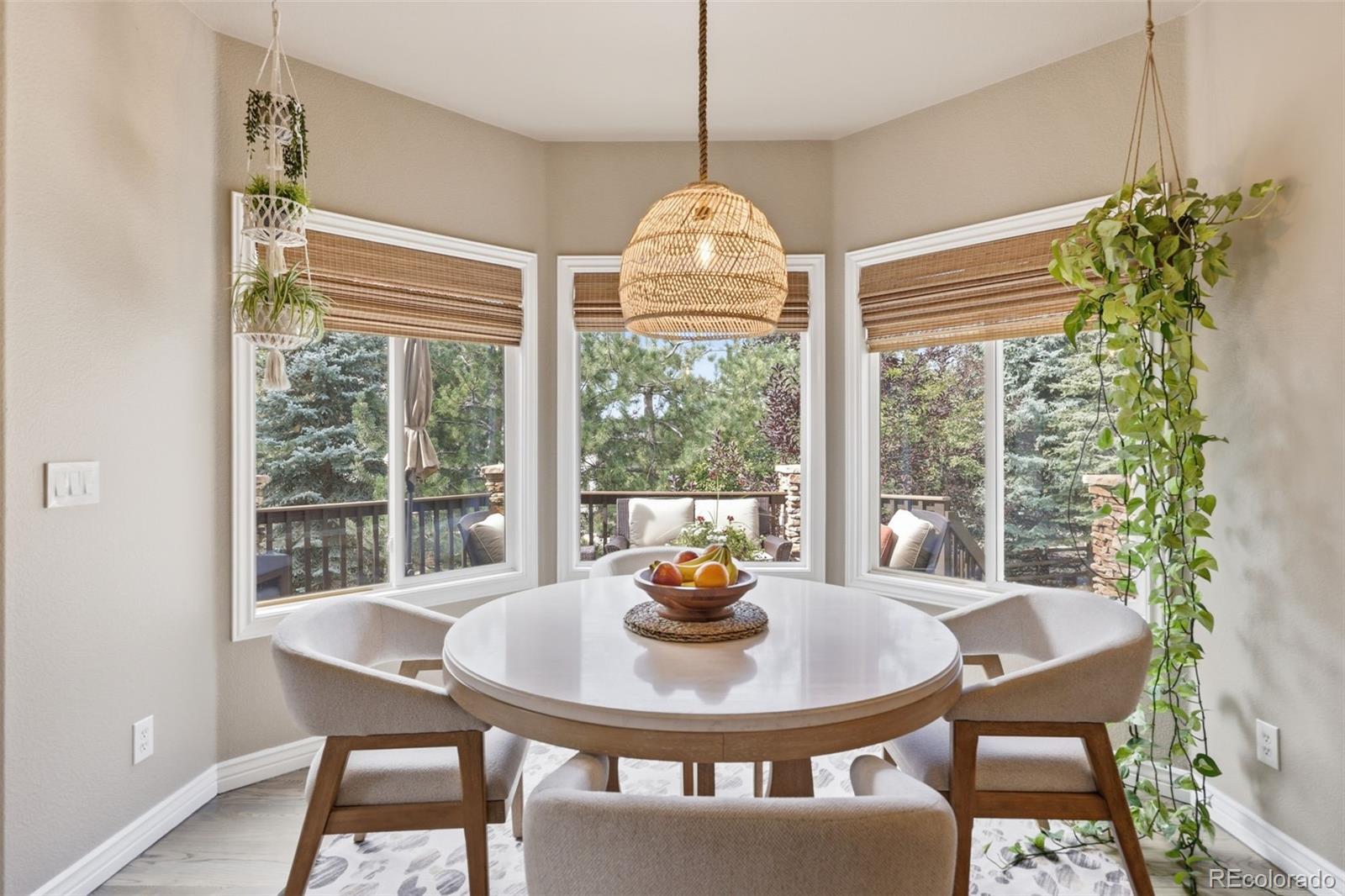 MLS Image #11 for 5347  sage thrasher road,parker, Colorado
