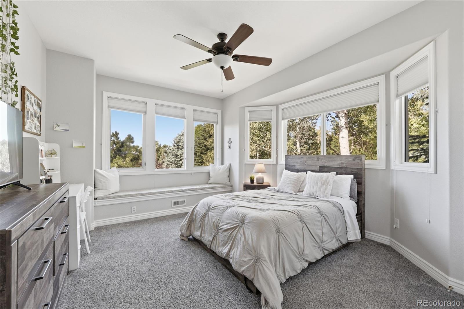 MLS Image #26 for 5347  sage thrasher road,parker, Colorado
