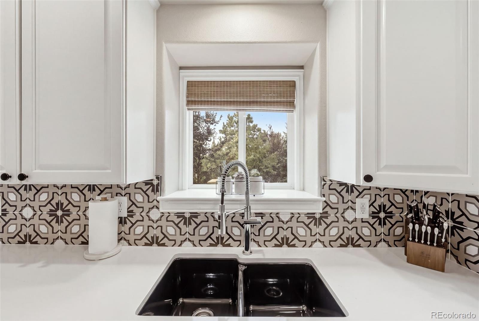 MLS Image #9 for 5347  sage thrasher road,parker, Colorado