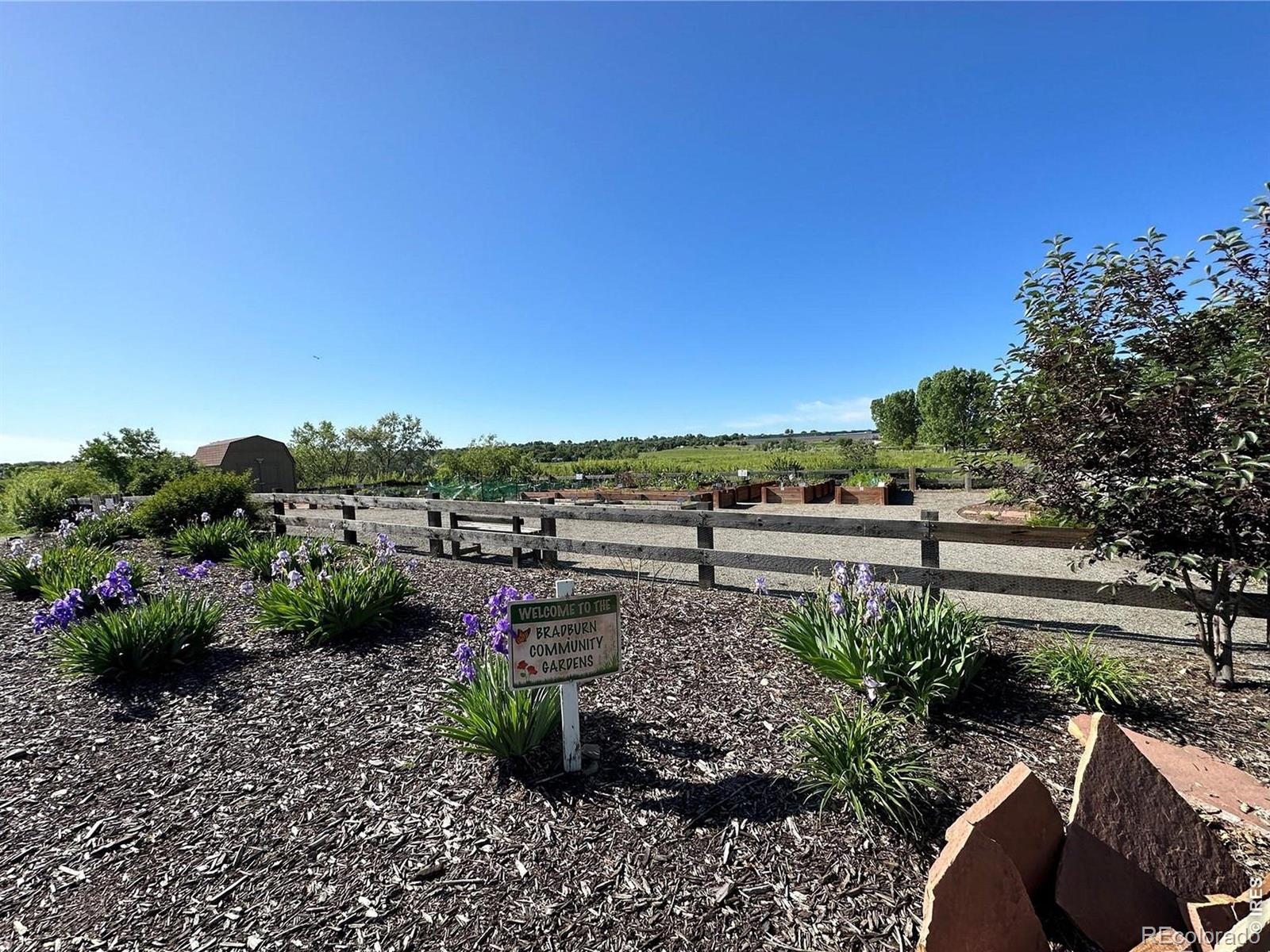MLS Image #48 for 11635  newton place,westminster, Colorado