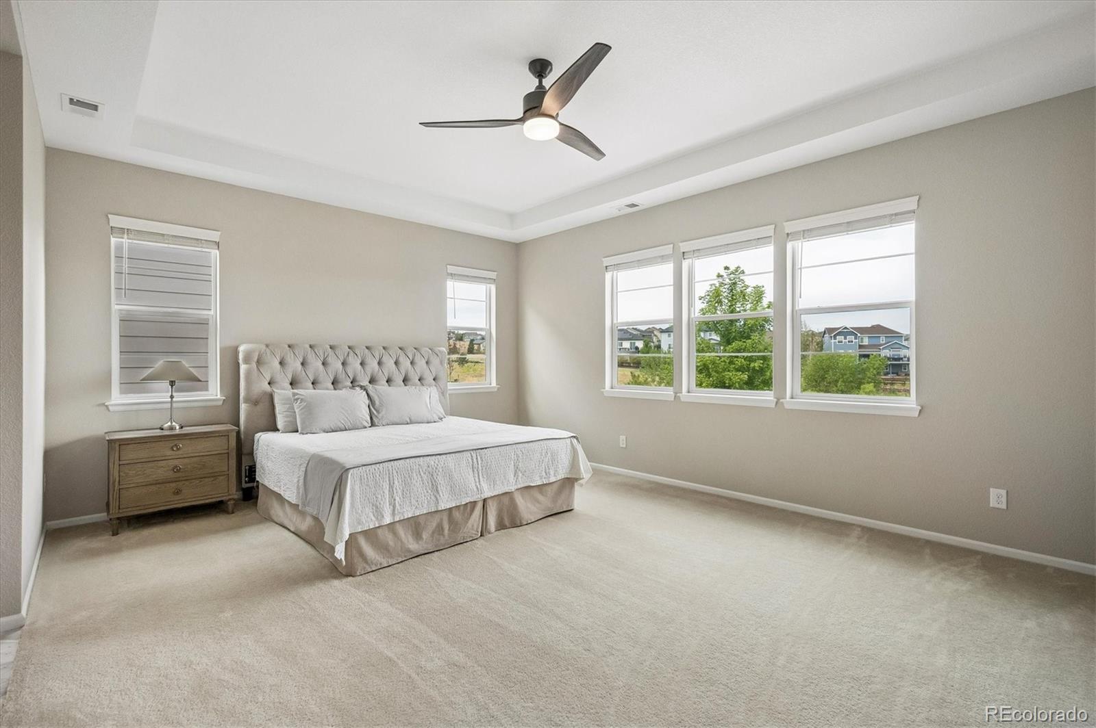 MLS Image #11 for 1665  gentle rain drive,castle rock, Colorado