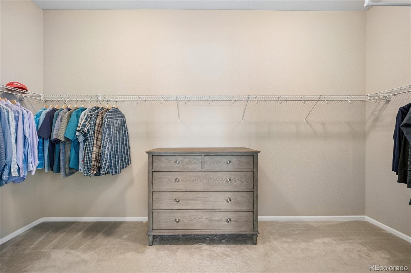 MLS Image #15 for 1665  gentle rain drive,castle rock, Colorado