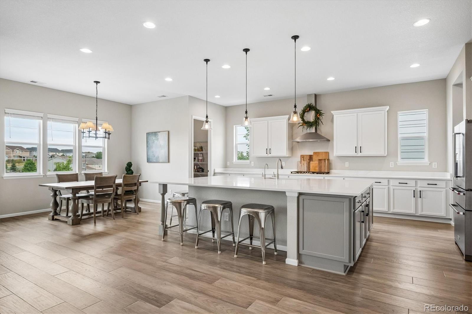 MLS Image #6 for 1665  gentle rain drive,castle rock, Colorado