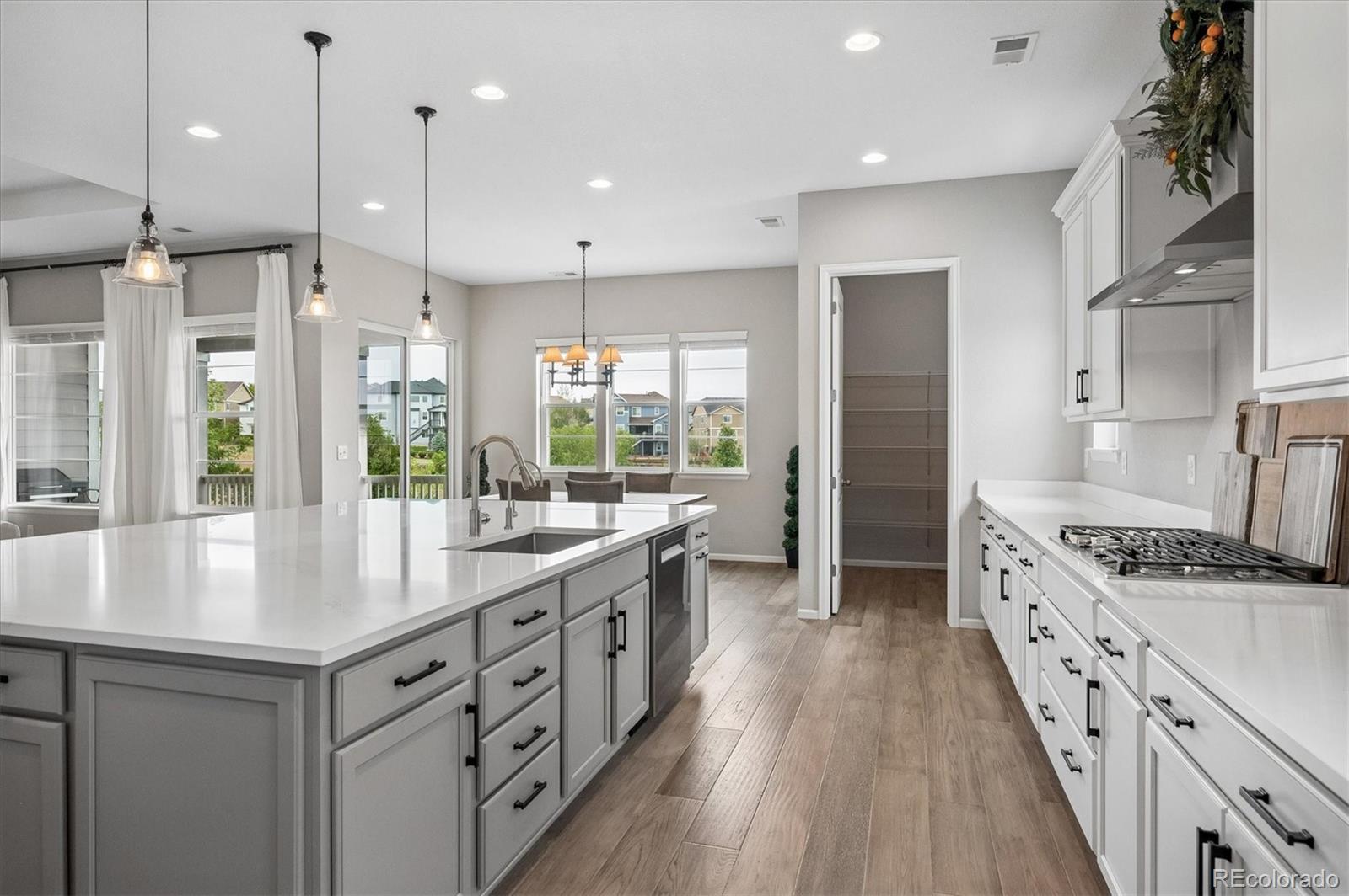 MLS Image #8 for 1665  gentle rain drive,castle rock, Colorado