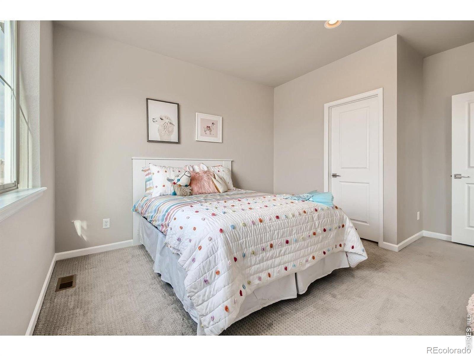 MLS Image #11 for 617  noola street,windsor, Colorado