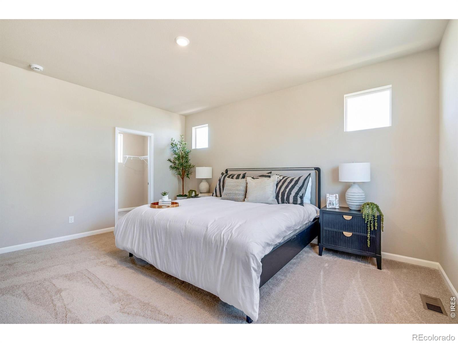 MLS Image #12 for 656  noola street,windsor, Colorado