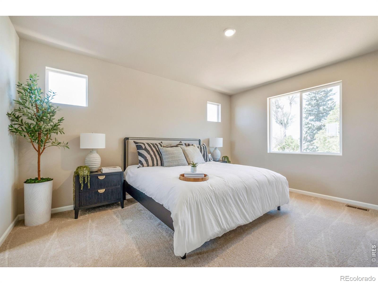 MLS Image #13 for 656  noola street,windsor, Colorado