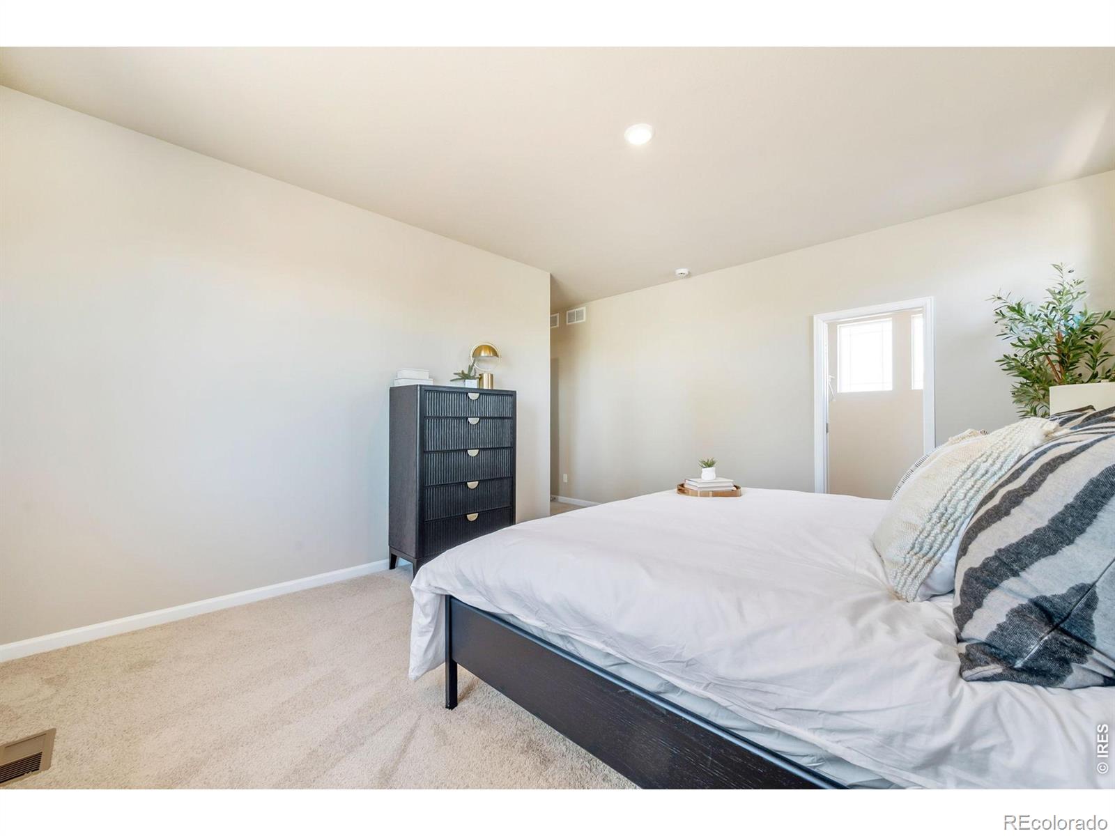 MLS Image #14 for 656  noola street,windsor, Colorado