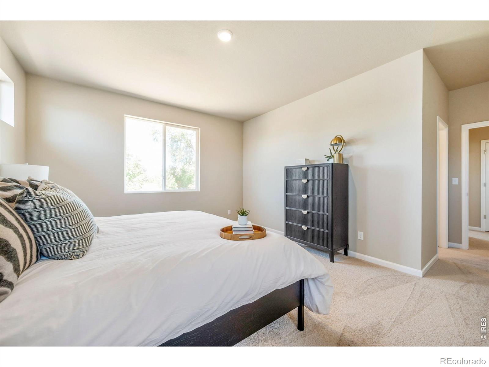 MLS Image #15 for 656  noola street,windsor, Colorado