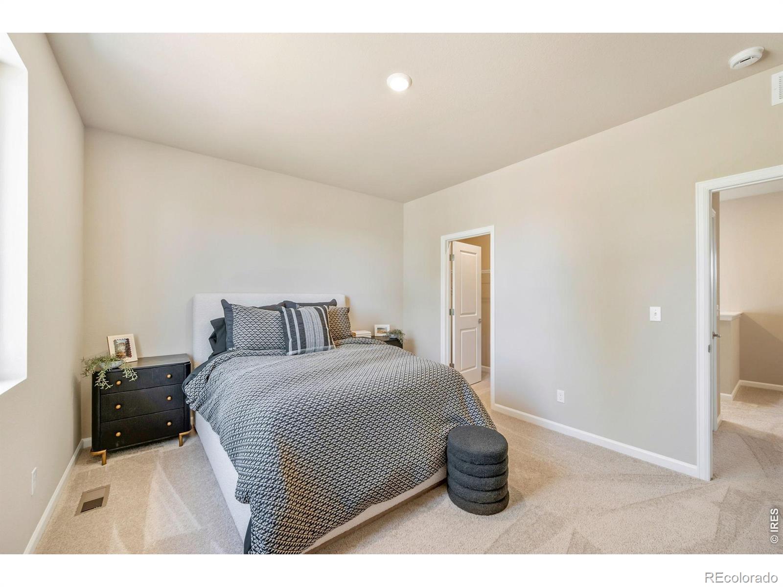 MLS Image #19 for 656  noola street,windsor, Colorado
