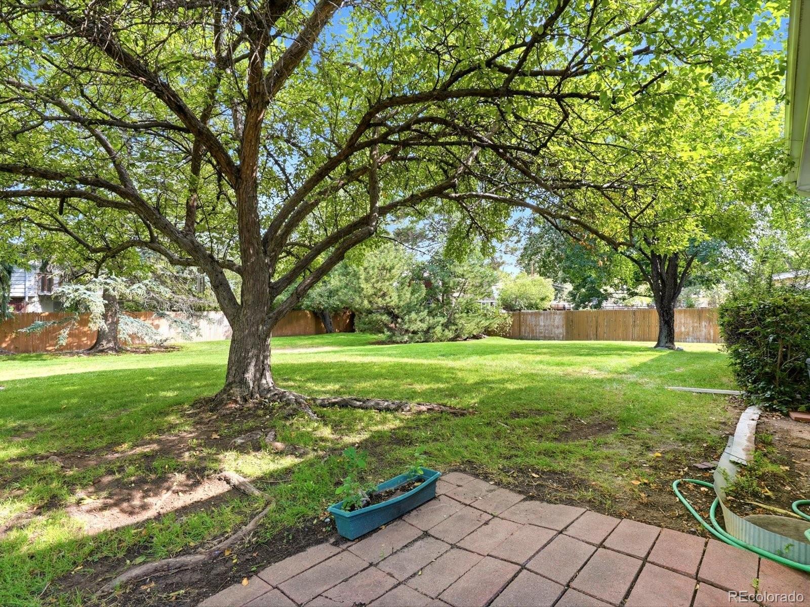 MLS Image #42 for 3380  garrison street,wheat ridge, Colorado
