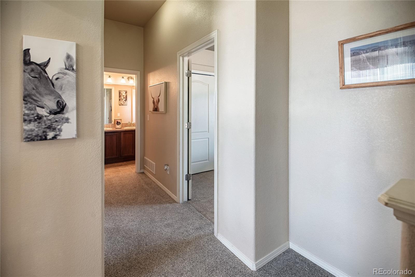 MLS Image #21 for 10393  capital peak way,peyton, Colorado