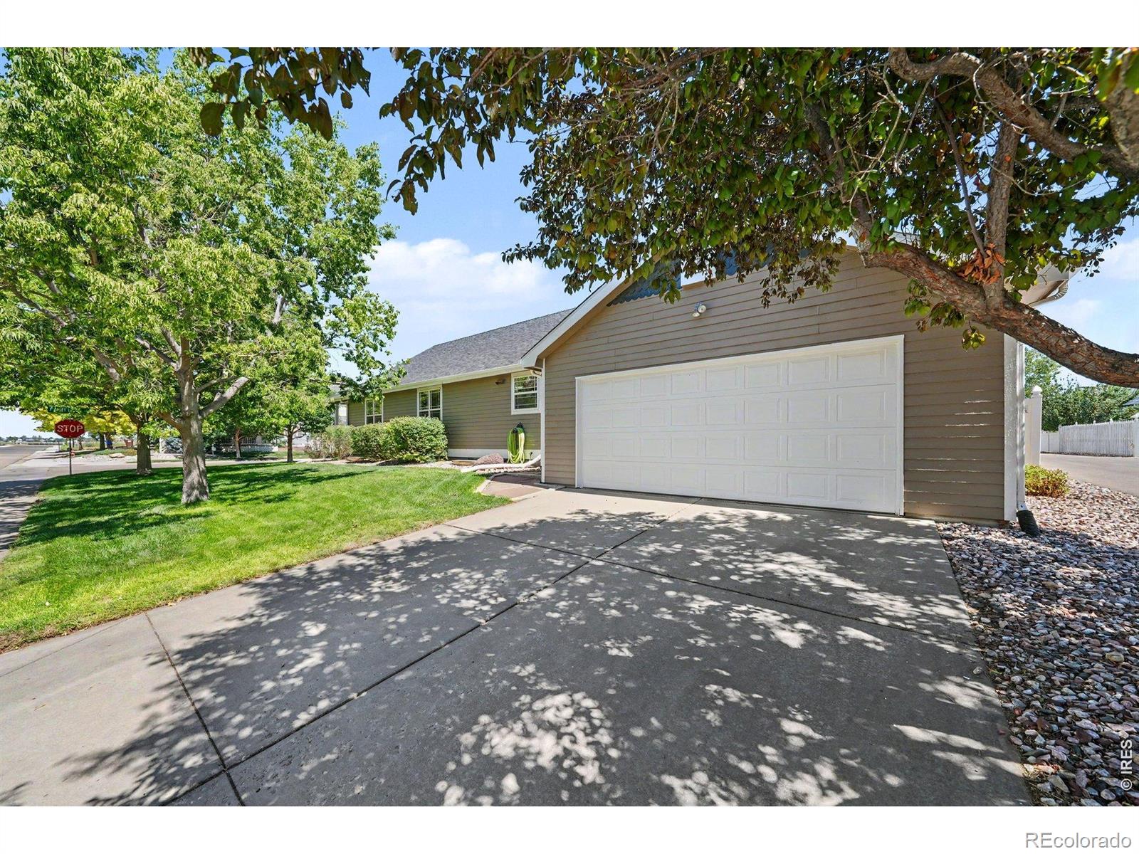 MLS Image #29 for 1143  fairfield avenue,windsor, Colorado