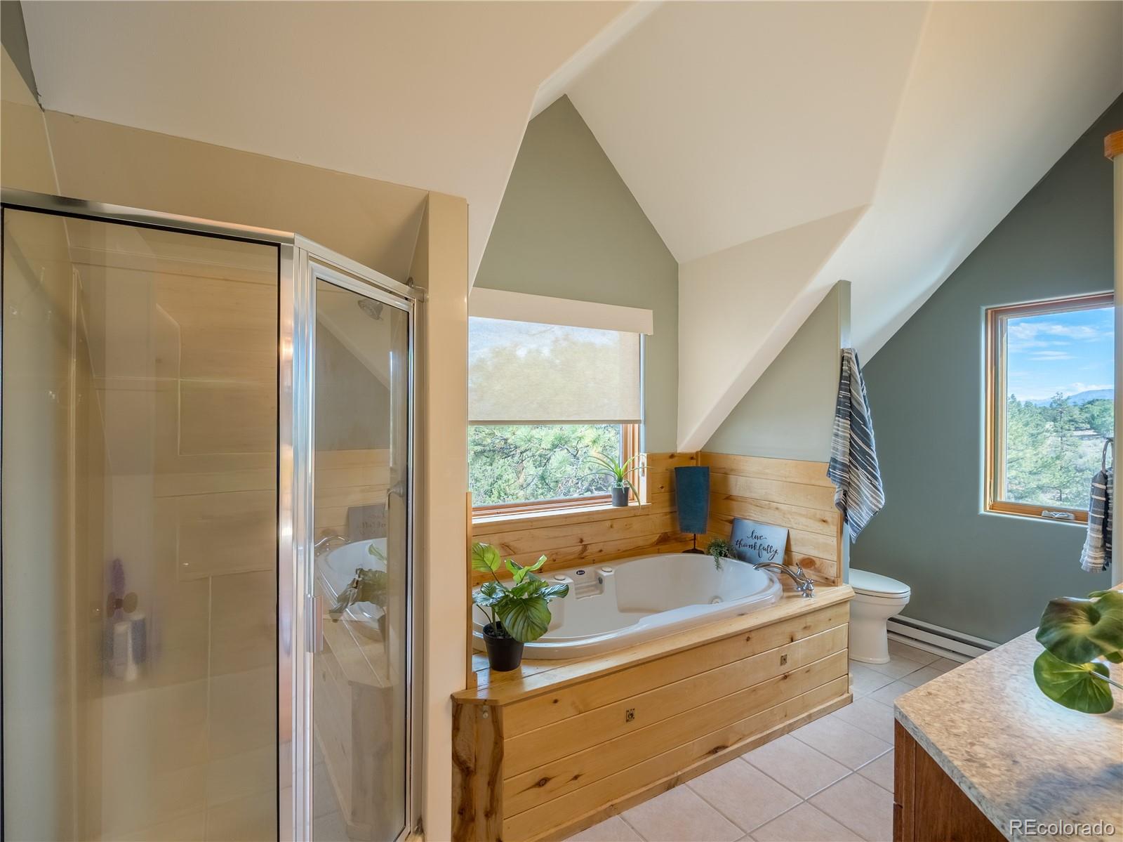 MLS Image #21 for 13072  county road 261 ,nathrop, Colorado
