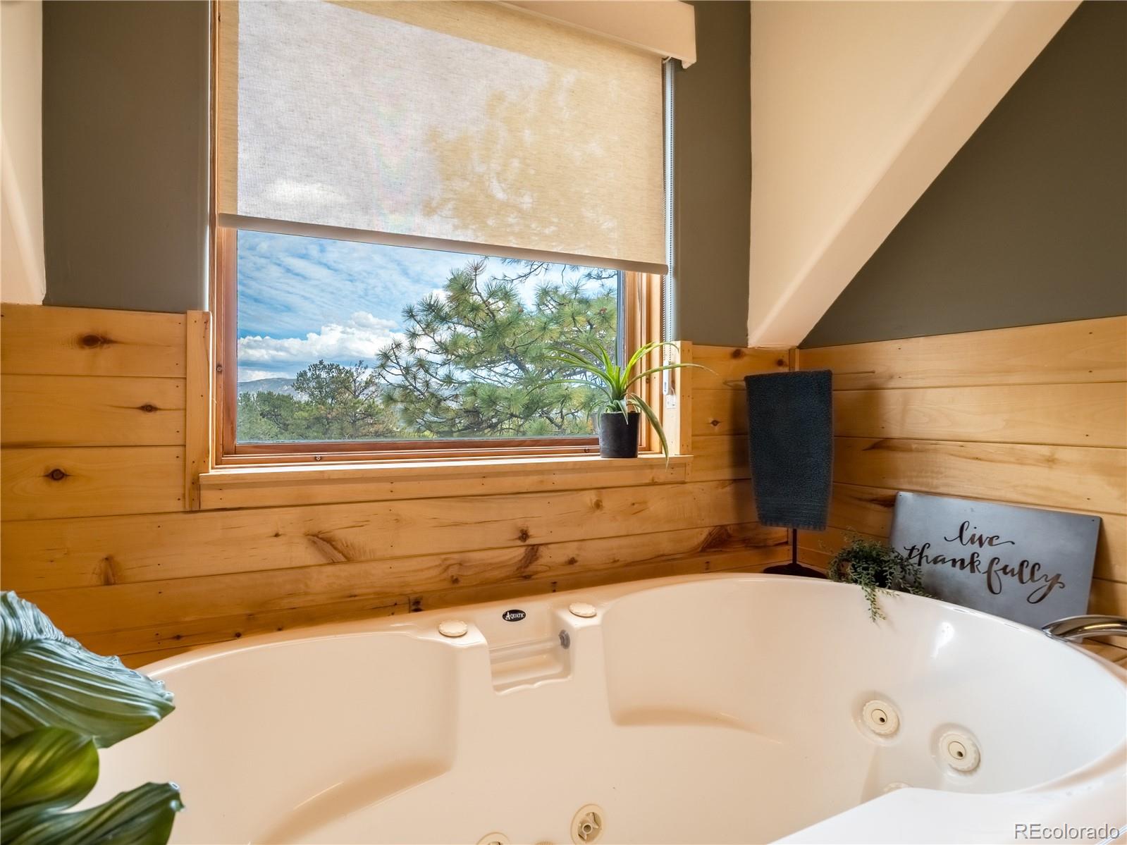 MLS Image #22 for 13072  county road 261 ,nathrop, Colorado