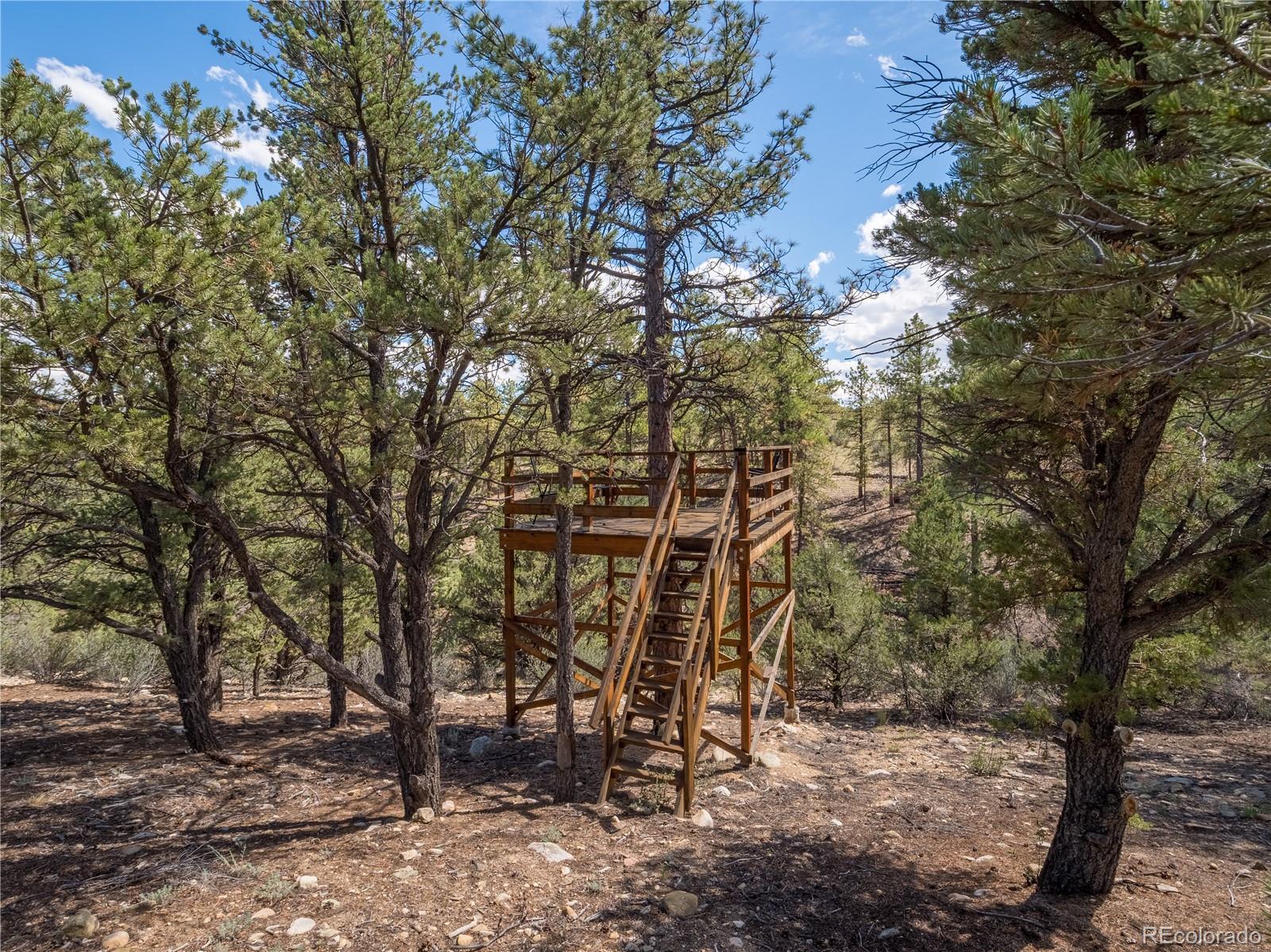 MLS Image #34 for 13072  county road 261 ,nathrop, Colorado