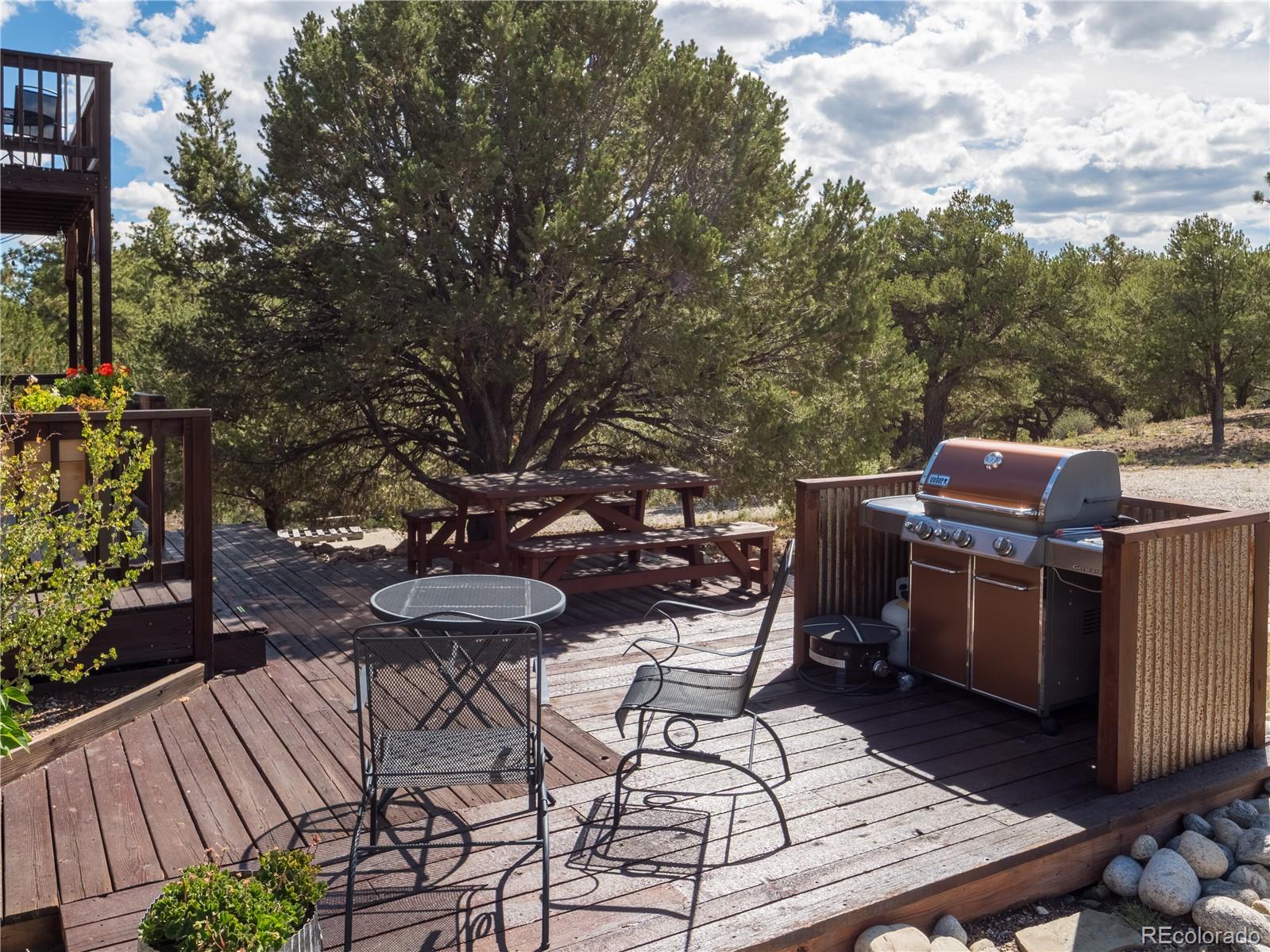 MLS Image #39 for 13072  county road 261 ,nathrop, Colorado