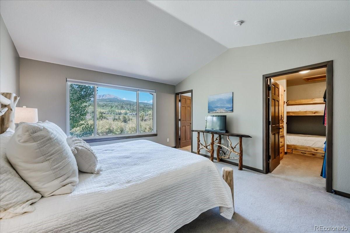 MLS Image #14 for 115  allegra drive,silverthorne, Colorado