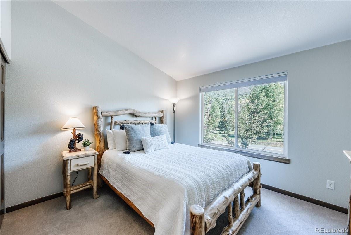 MLS Image #20 for 115  allegra drive,silverthorne, Colorado