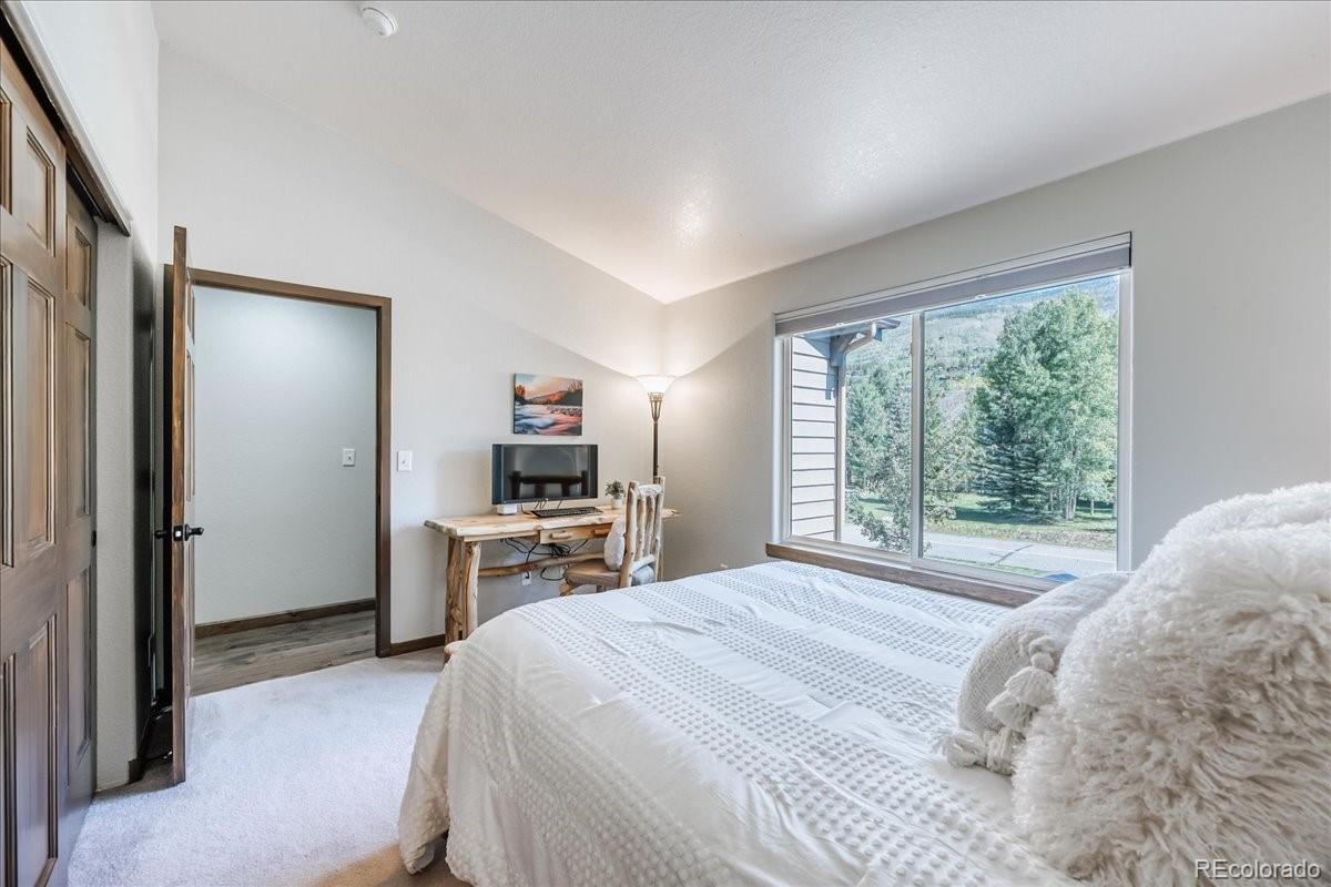 MLS Image #24 for 115  allegra drive,silverthorne, Colorado