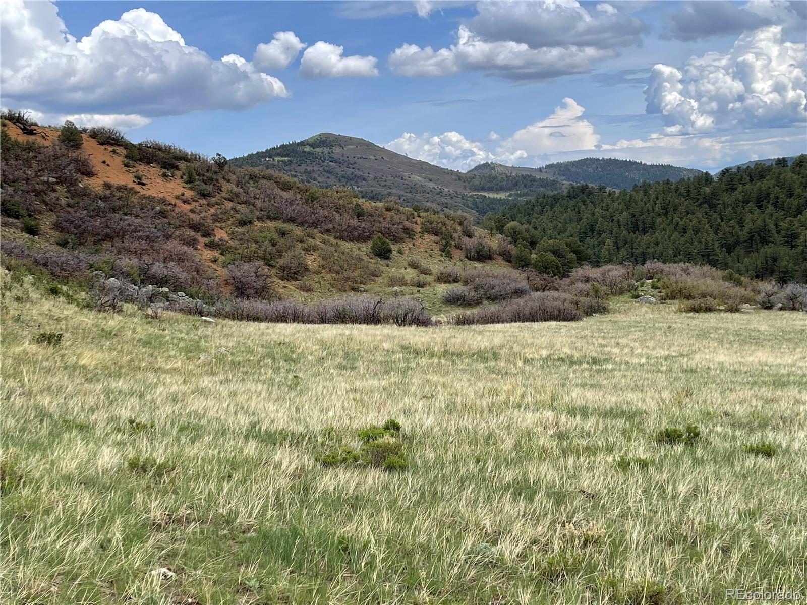 MLS Image #12 for 92  bear trax ,canon city, Colorado