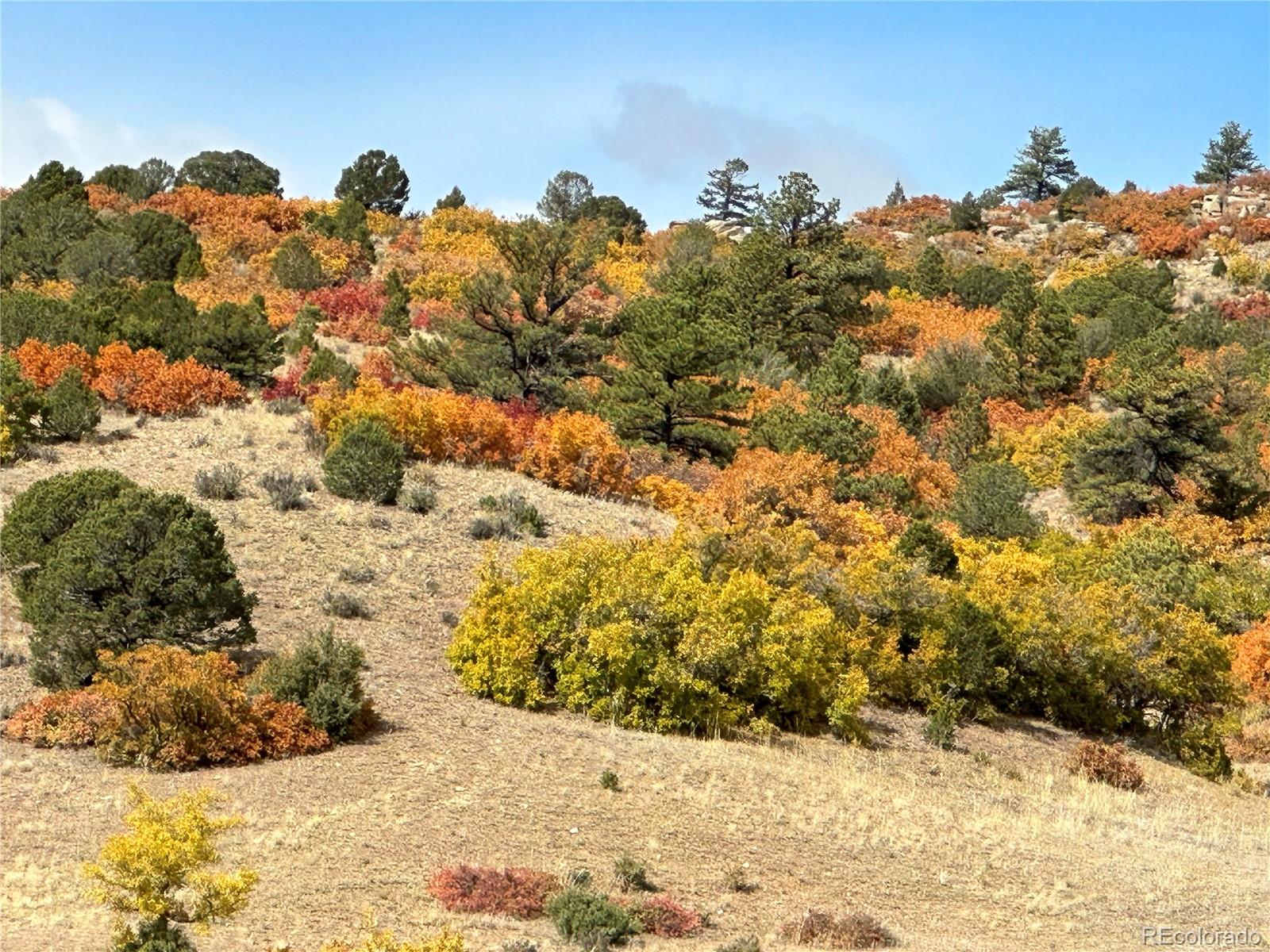 MLS Image #13 for 92  bear trax ,canon city, Colorado