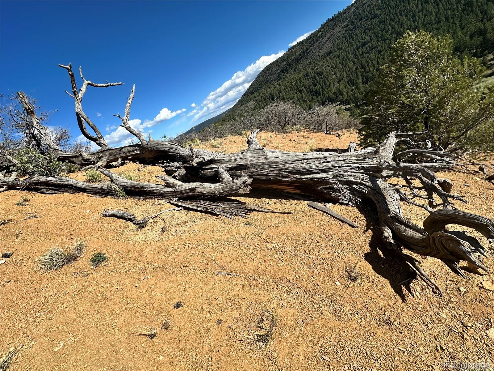 MLS Image #16 for 92  bear trax ,canon city, Colorado