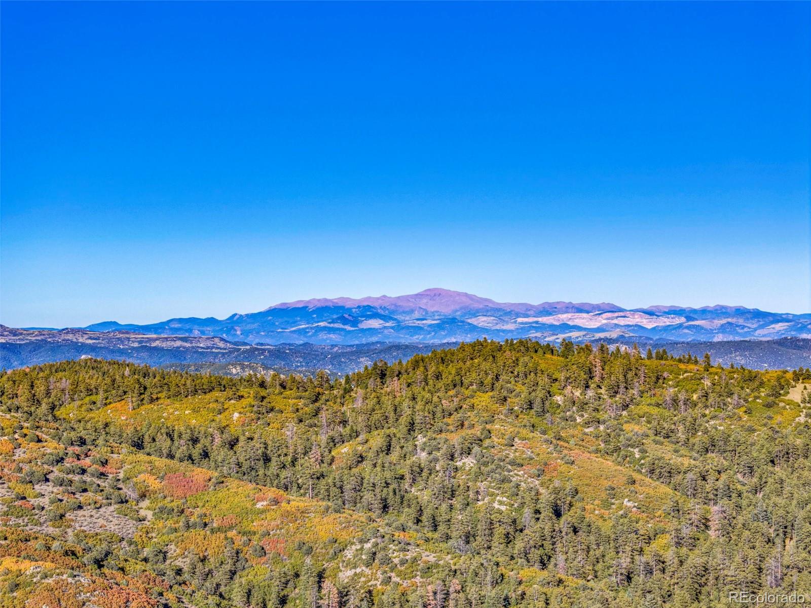 MLS Image #34 for 92  bear trax ,canon city, Colorado