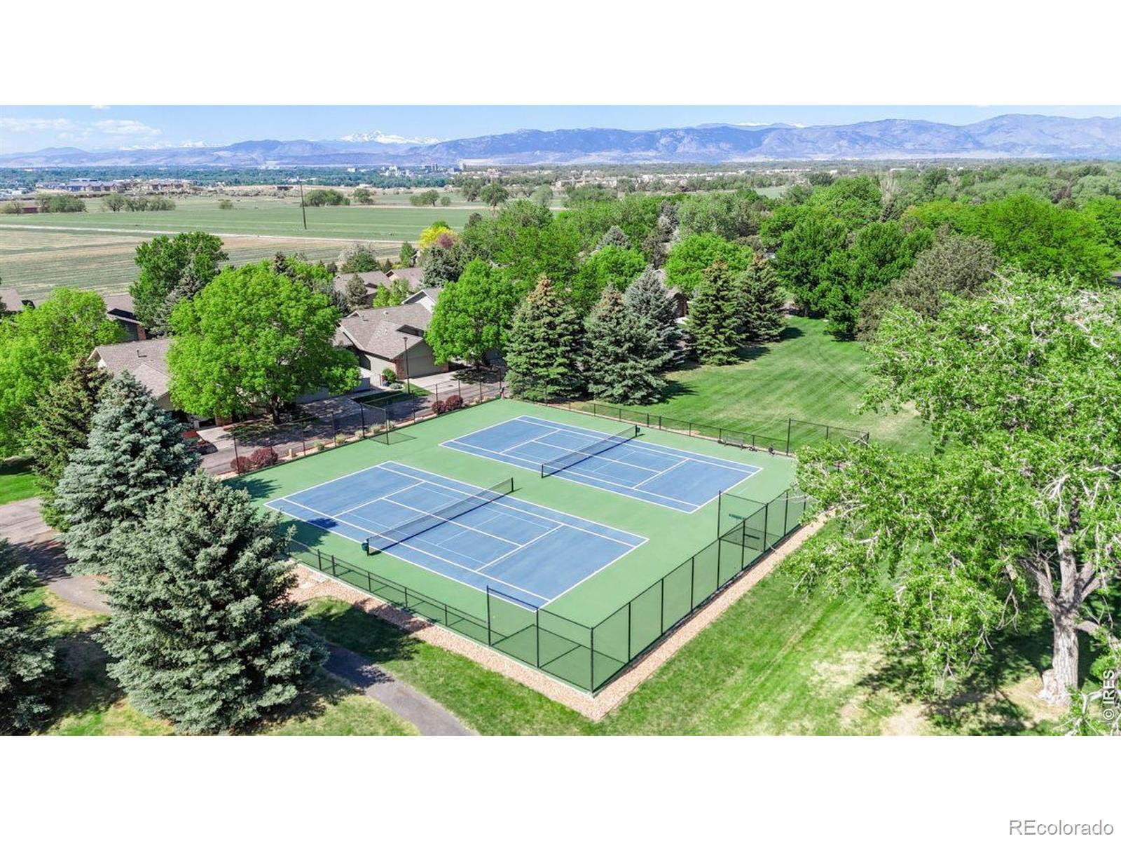 MLS Image #7 for 1404  adriel drive,fort collins, Colorado
