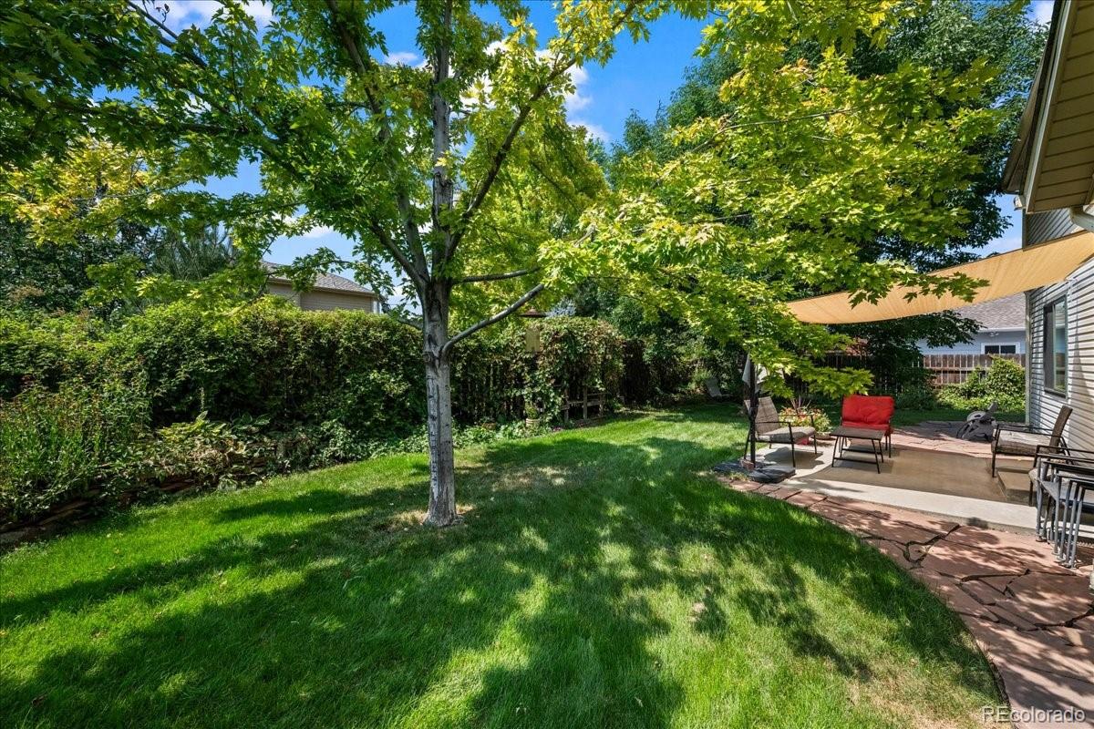 MLS Image #30 for 2431  maplewood circle,longmont, Colorado
