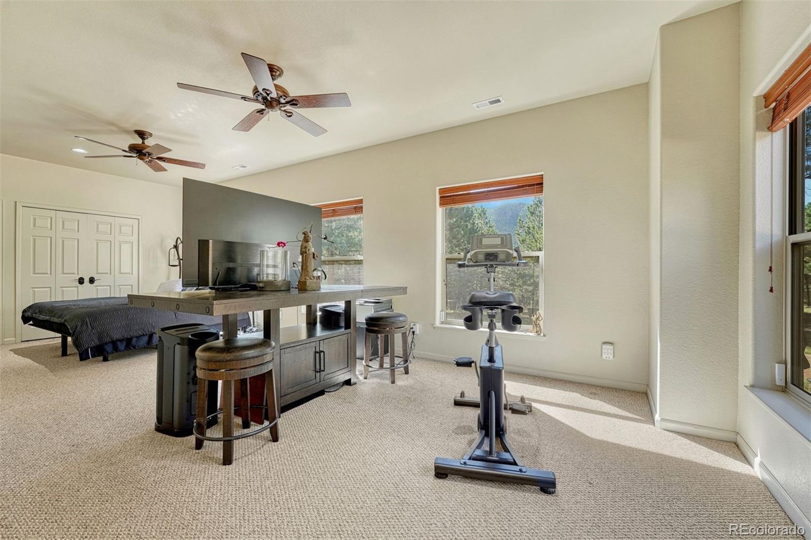 MLS Image #16 for 3620  simon point,colorado springs, Colorado