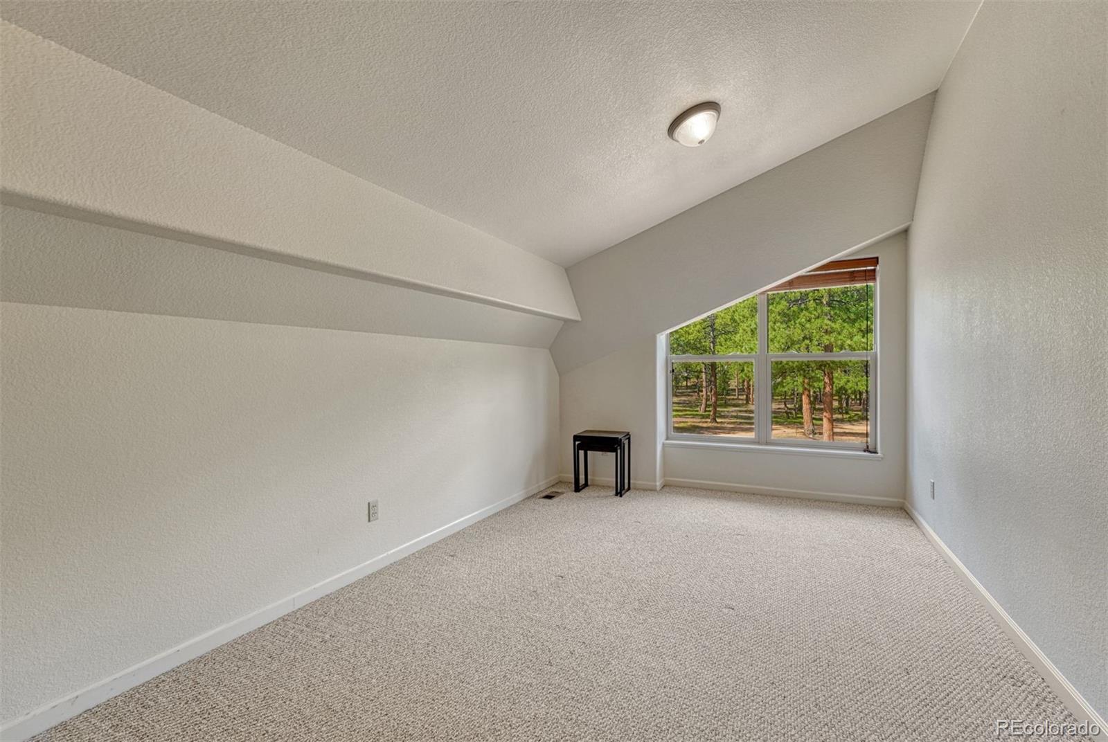 MLS Image #17 for 3620  simon point,colorado springs, Colorado