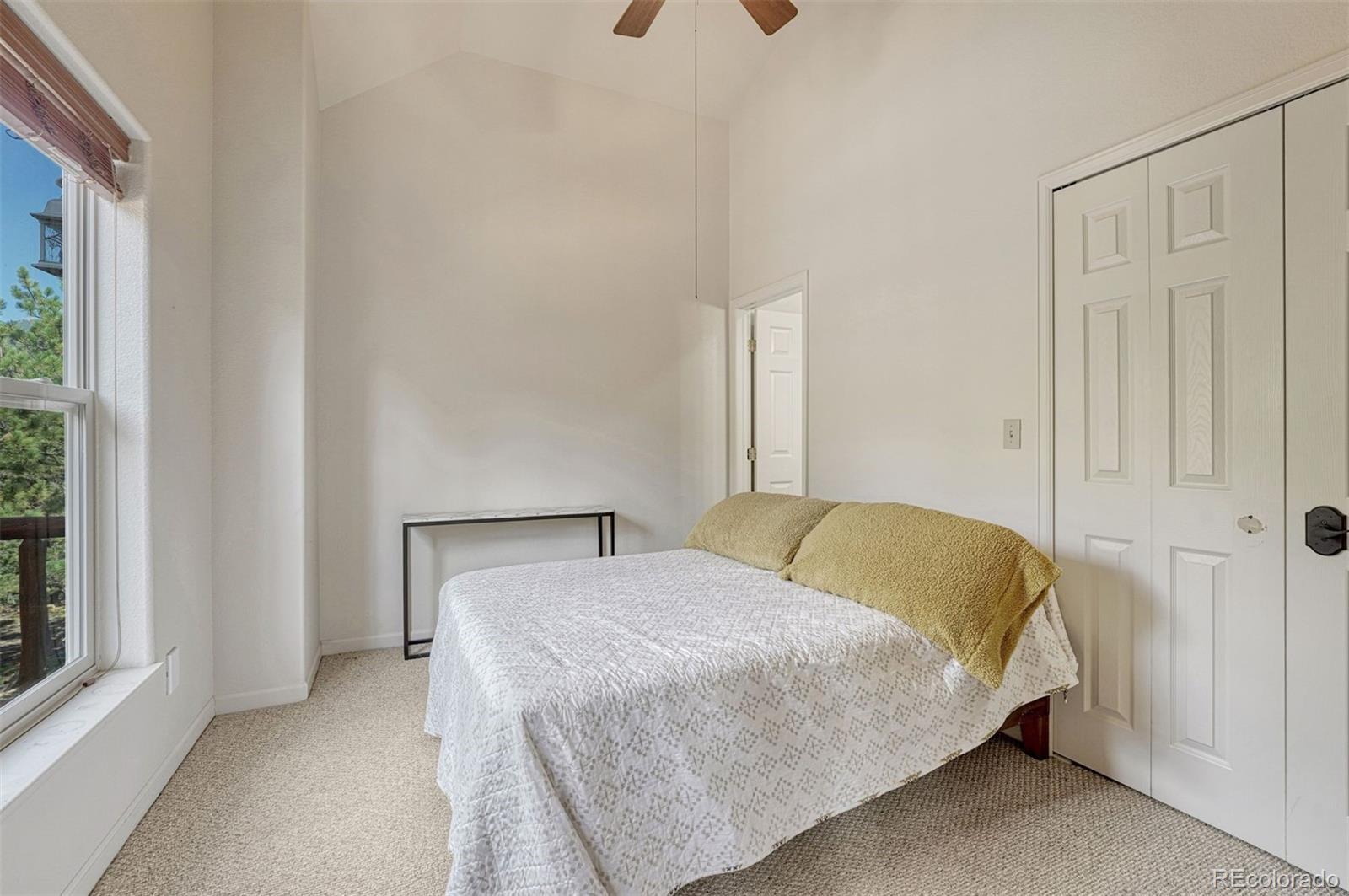 MLS Image #19 for 3620  simon point,colorado springs, Colorado