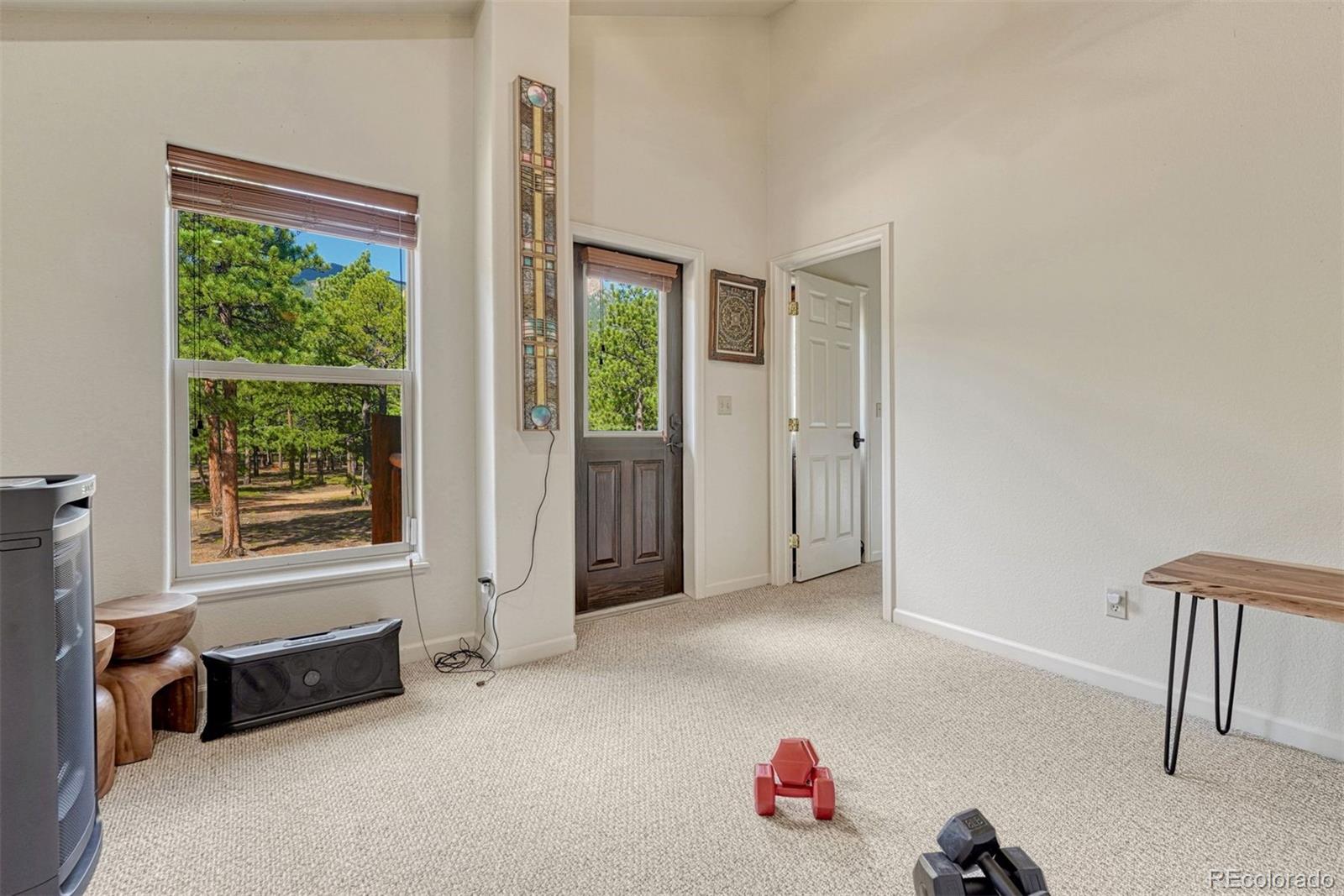 MLS Image #20 for 3620  simon point,colorado springs, Colorado