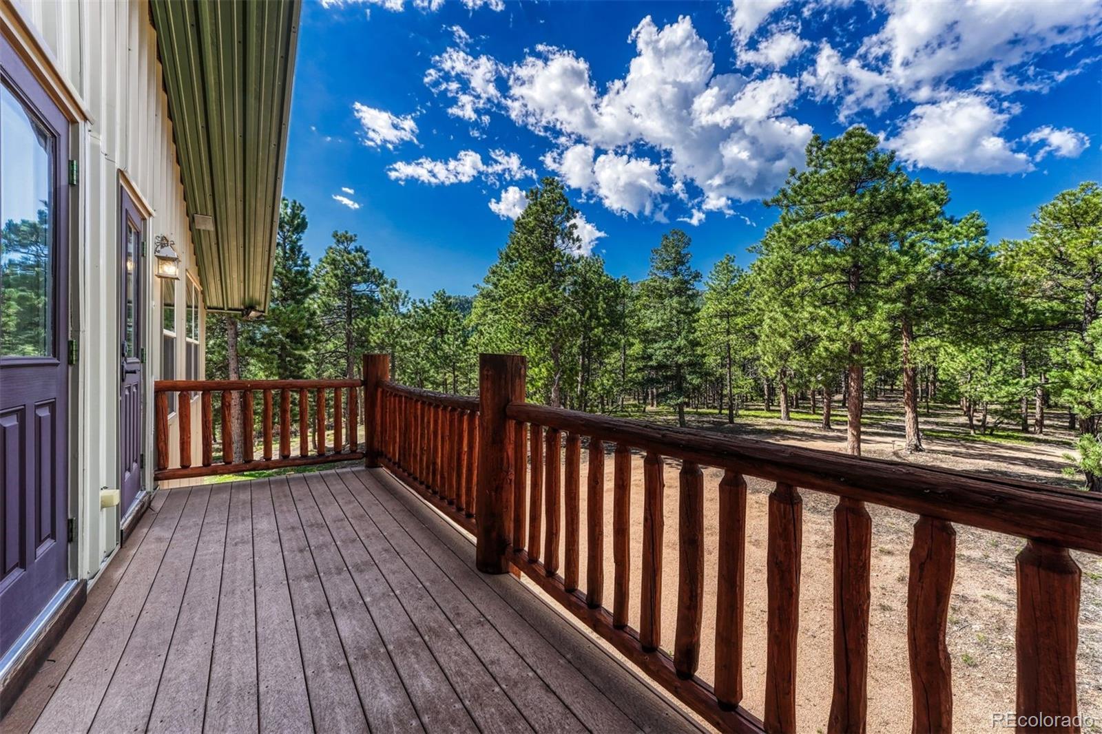 MLS Image #24 for 3620  simon point,colorado springs, Colorado