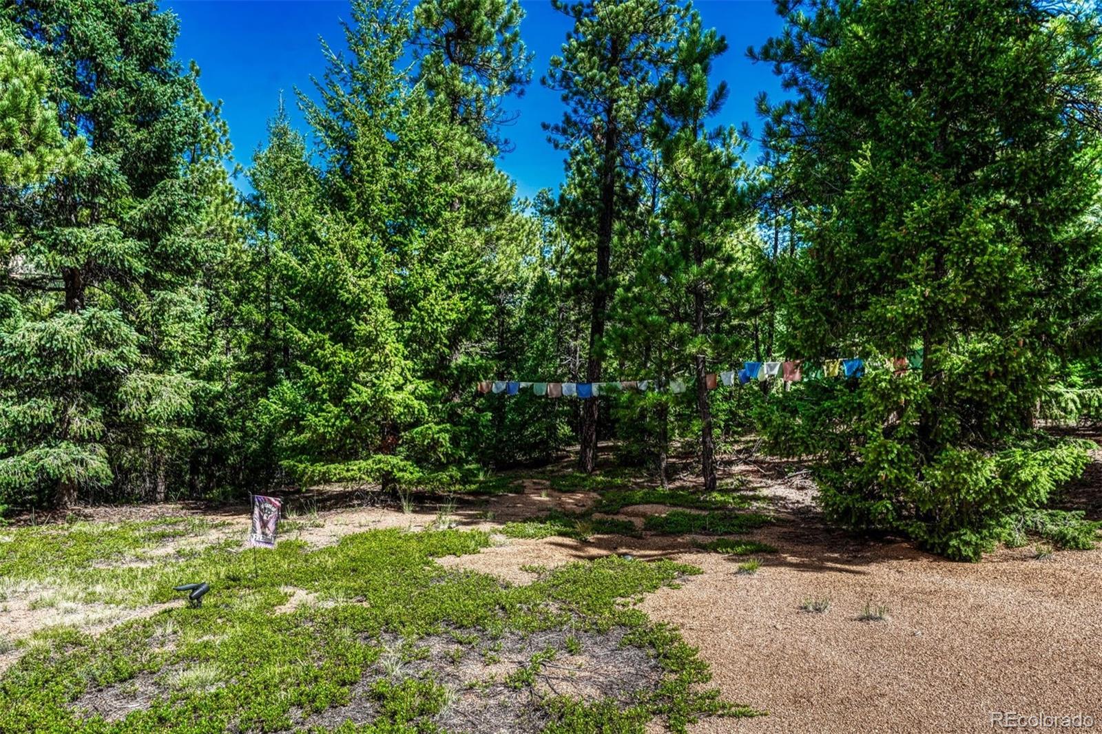 MLS Image #26 for 3620  simon point,colorado springs, Colorado