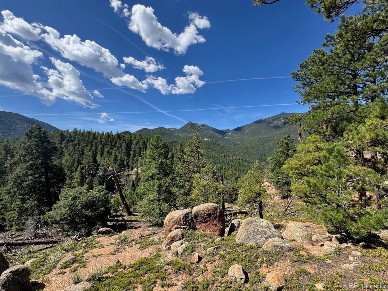 MLS Image #30 for 3620  simon point,colorado springs, Colorado