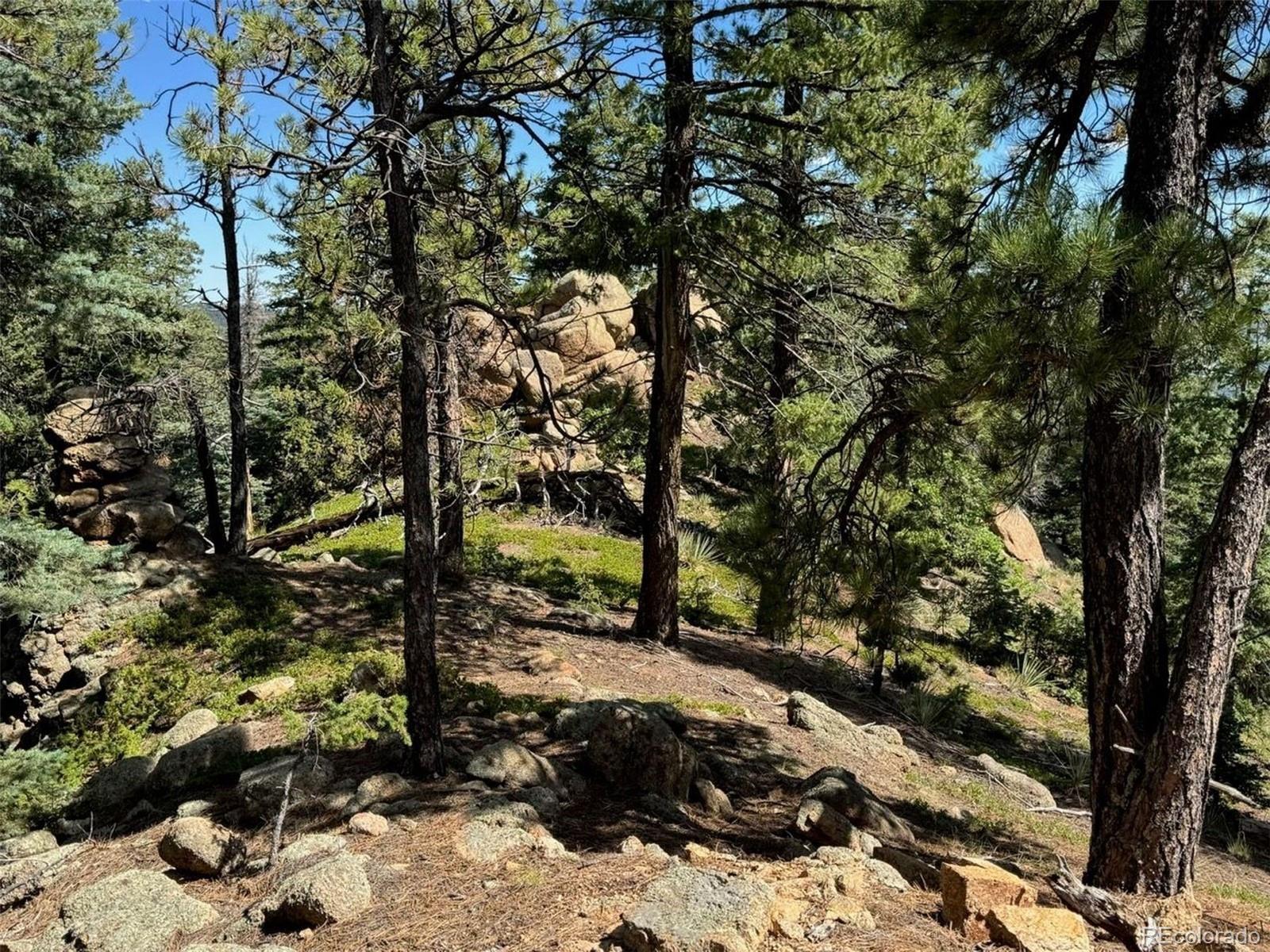 MLS Image #31 for 3620  simon point,colorado springs, Colorado
