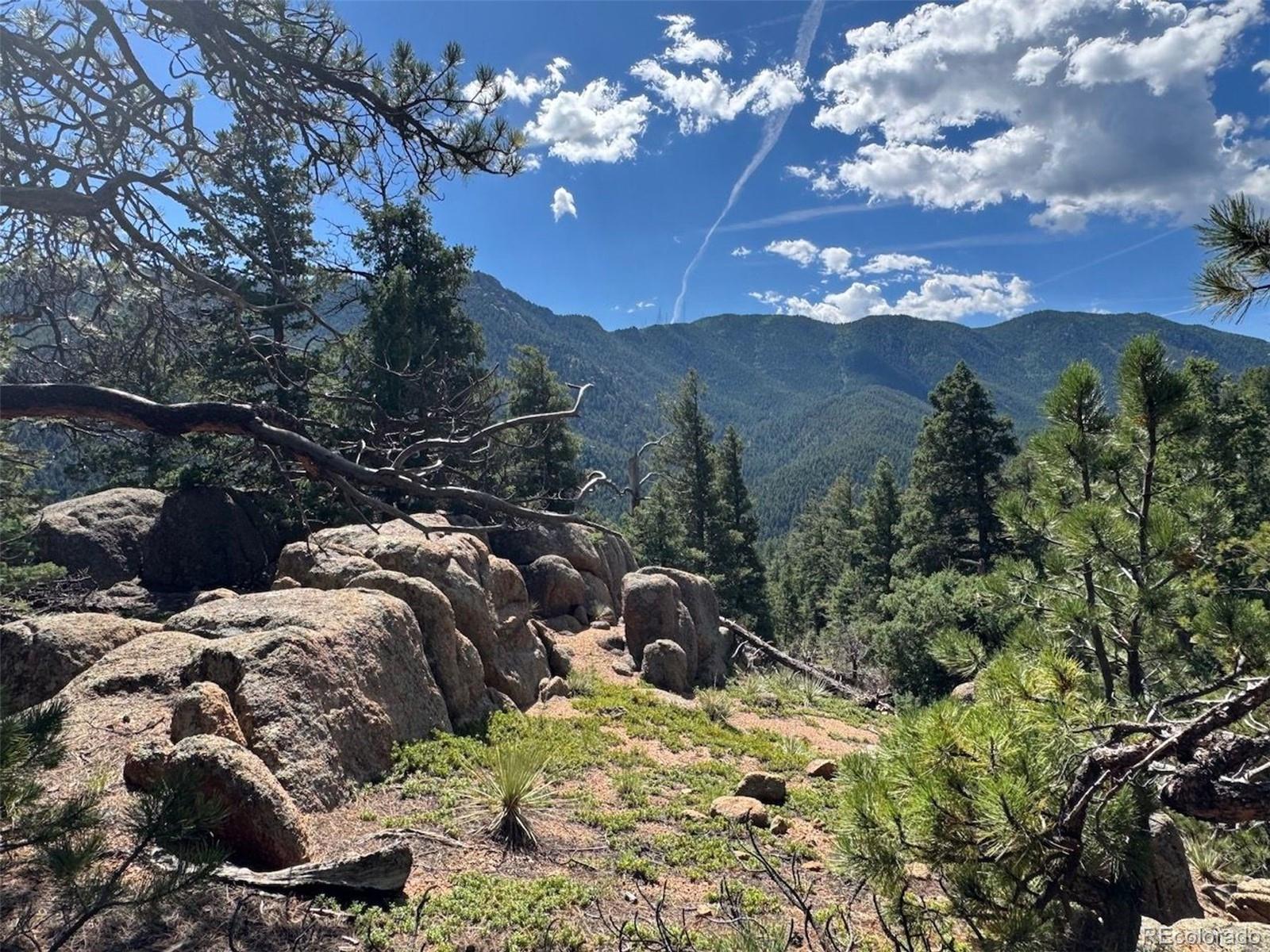 MLS Image #32 for 3620  simon point,colorado springs, Colorado