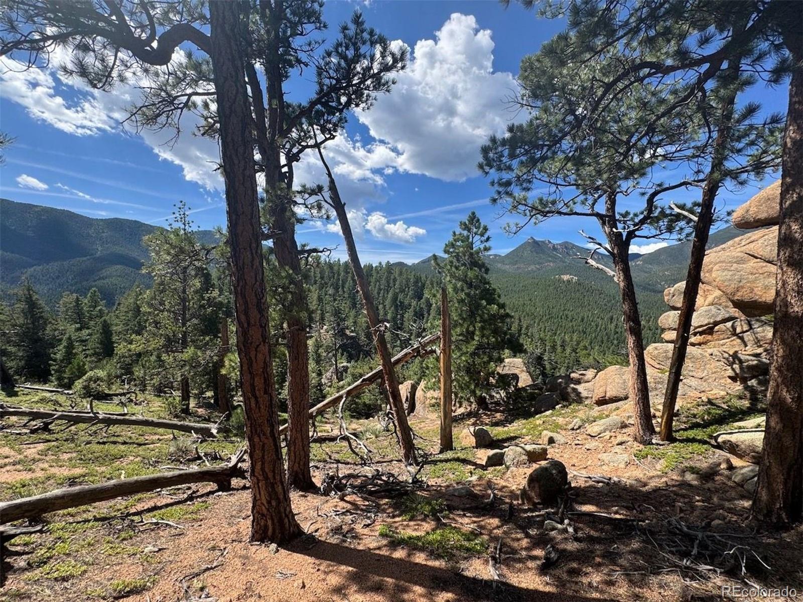MLS Image #33 for 3620  simon point,colorado springs, Colorado
