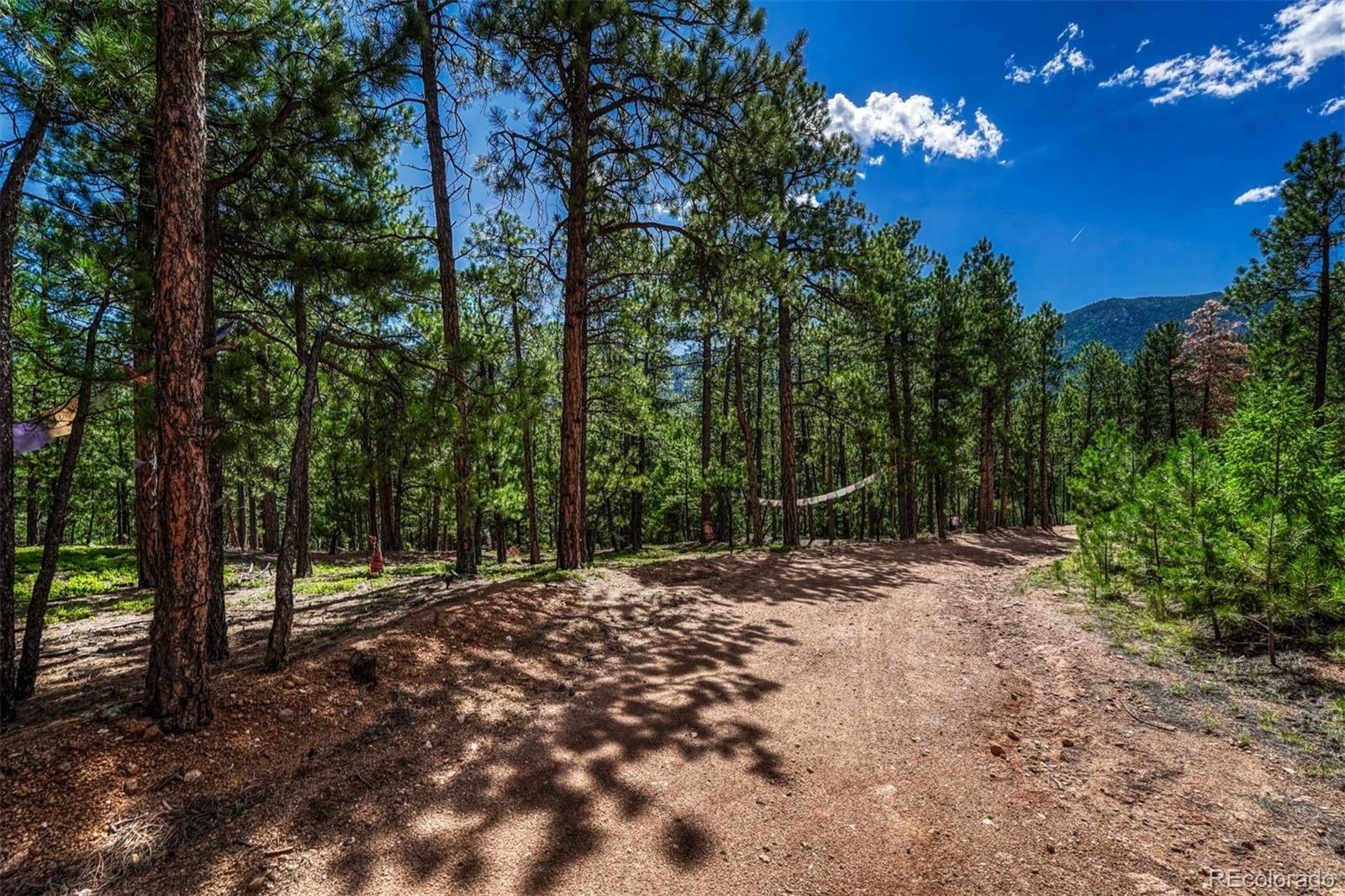 MLS Image #36 for 3620  simon point,colorado springs, Colorado