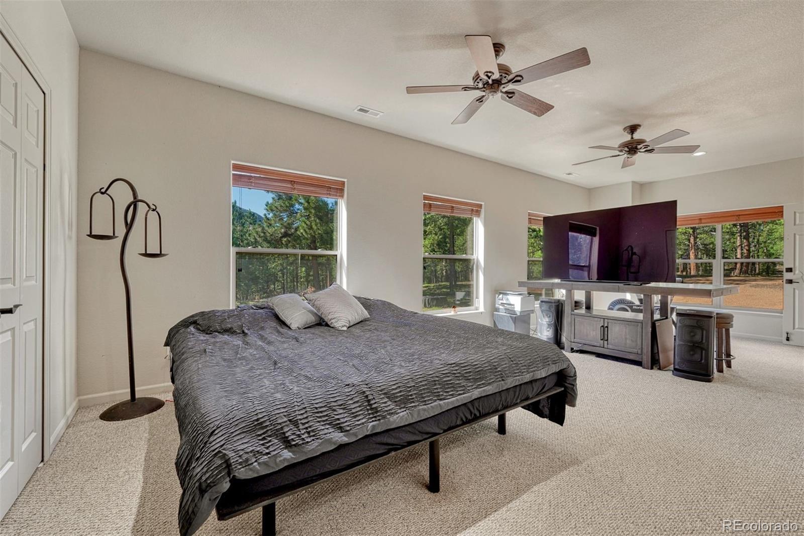 MLS Image #8 for 3620  simon point,colorado springs, Colorado