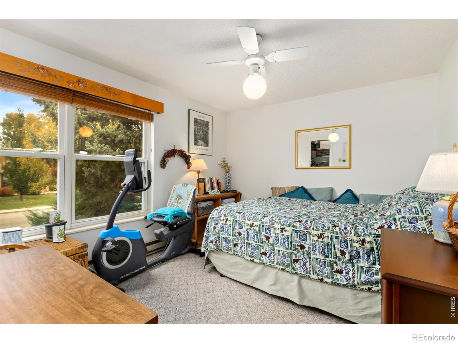 MLS Image #10 for 204 e 50th street,loveland, Colorado
