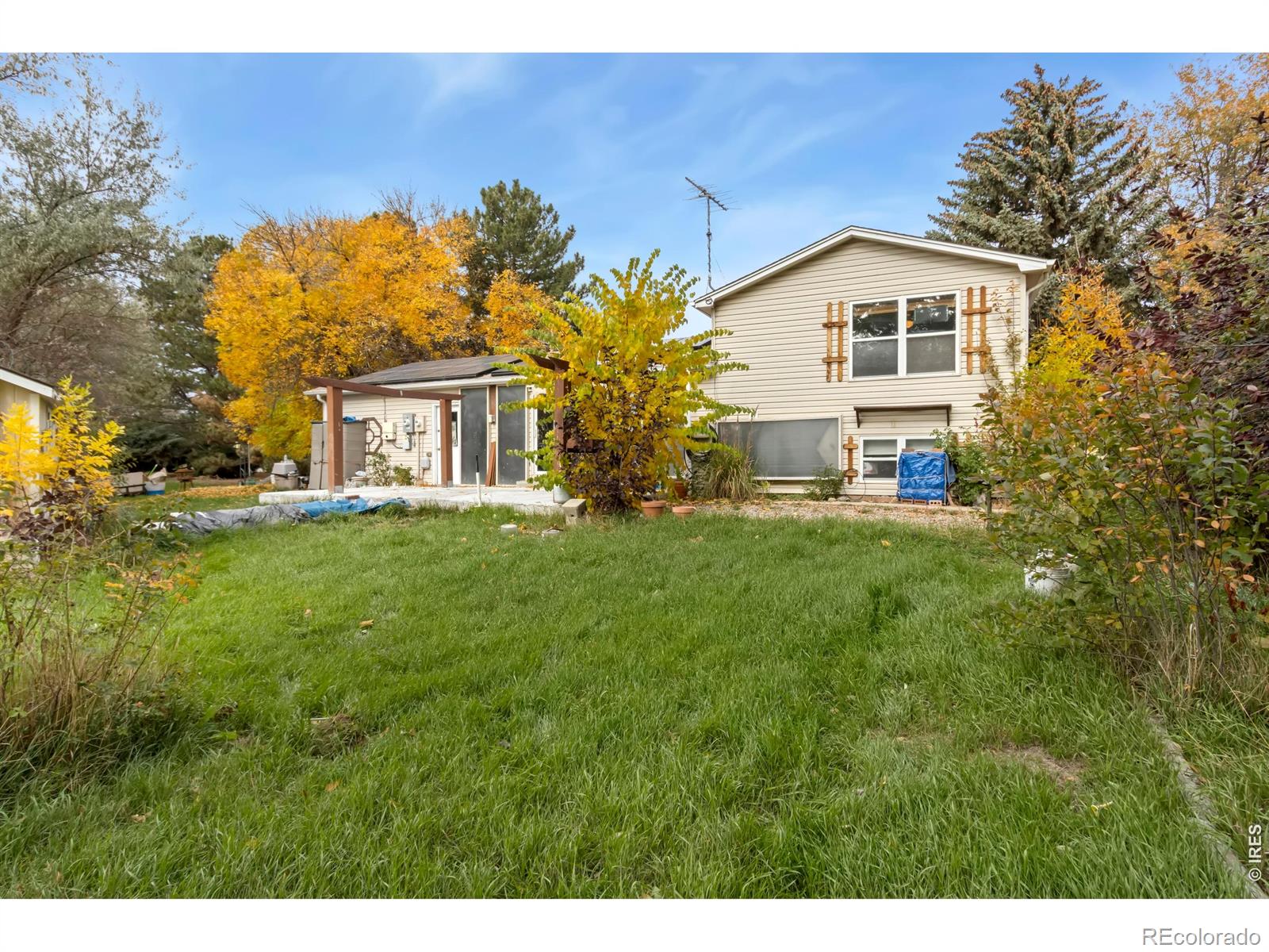 MLS Image #20 for 204 e 50th street,loveland, Colorado