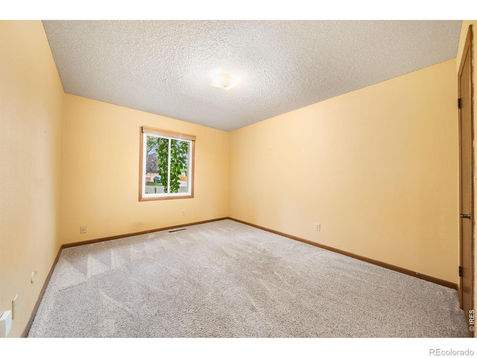 MLS Image #13 for 2209  arron drive,loveland, Colorado